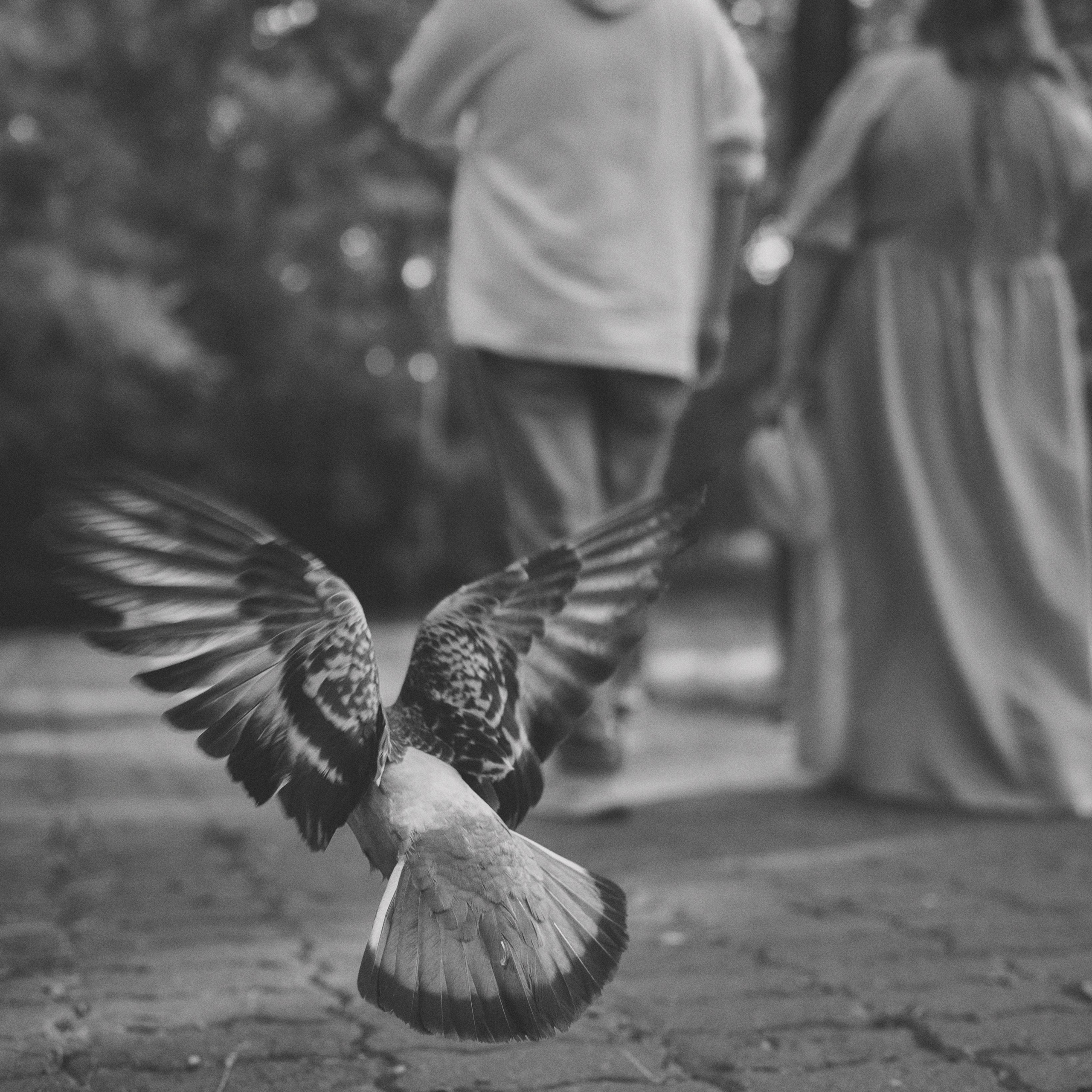 Отзывы клиентов. Фотограф в Хабаровске Дмитрий Лемешков