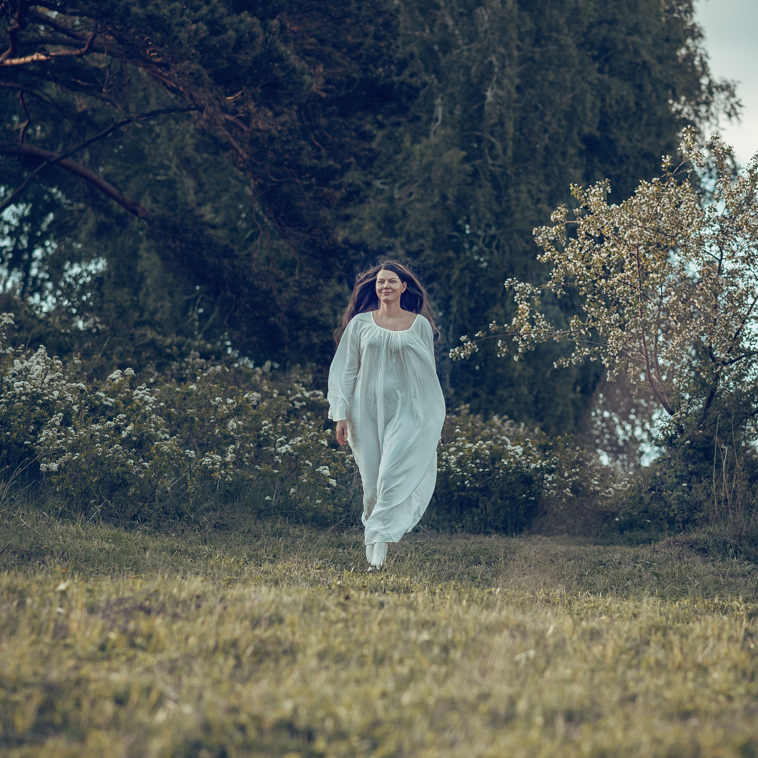 В цветущей спирее