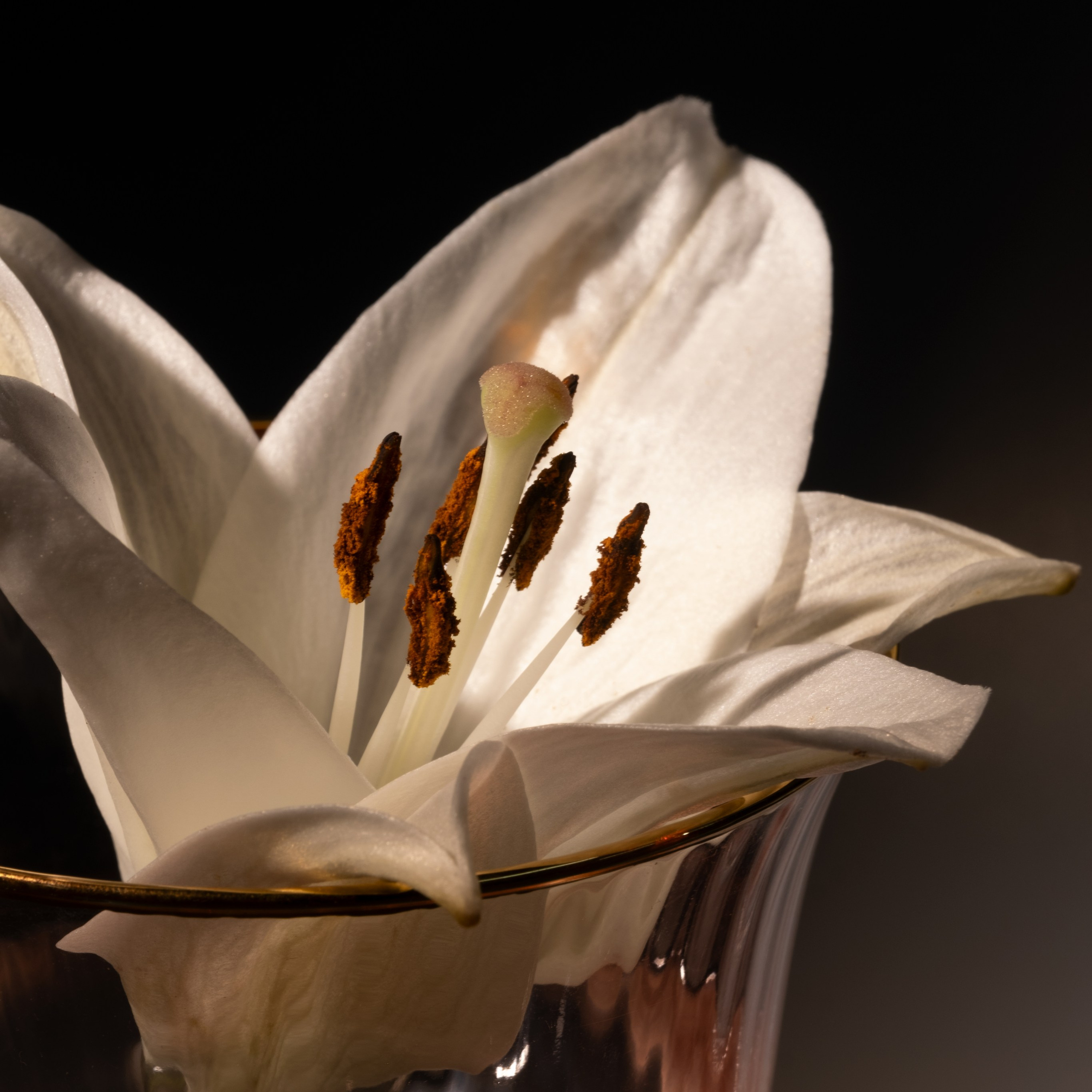 Лилия в фужере