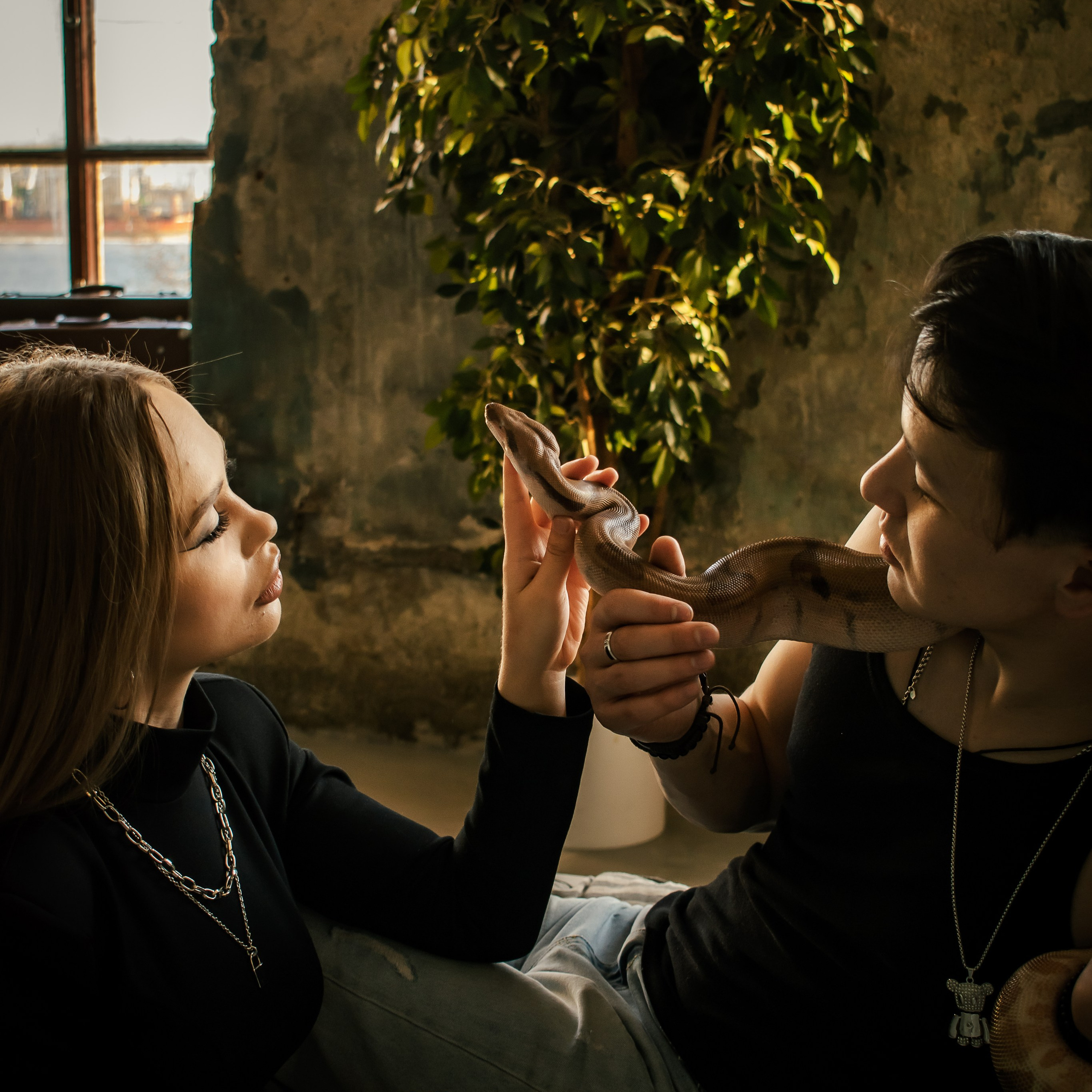 Цветная фотография