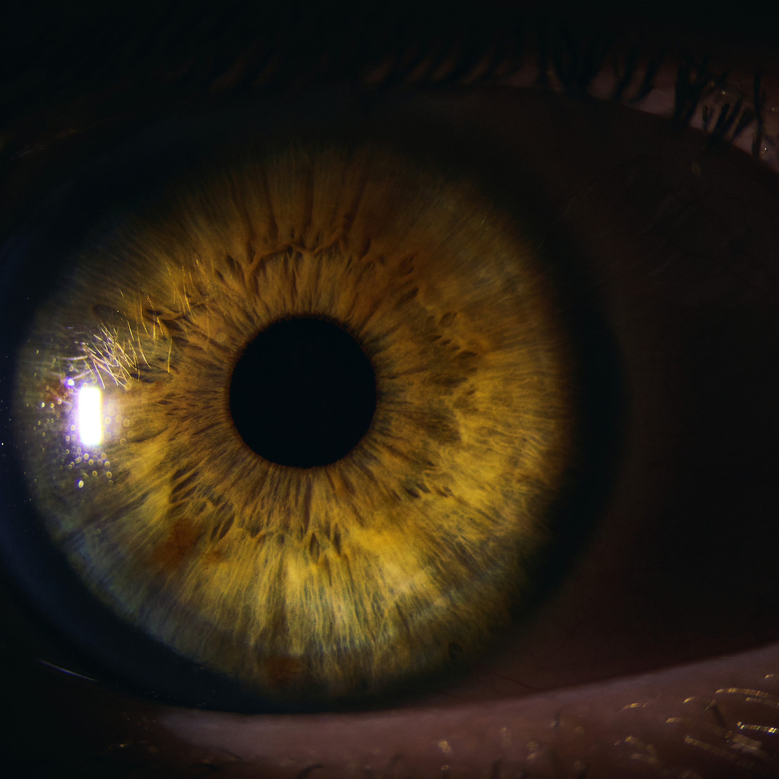 Отзывы. Oleg Samoilov is a documentary photographer for brands that value an honest story