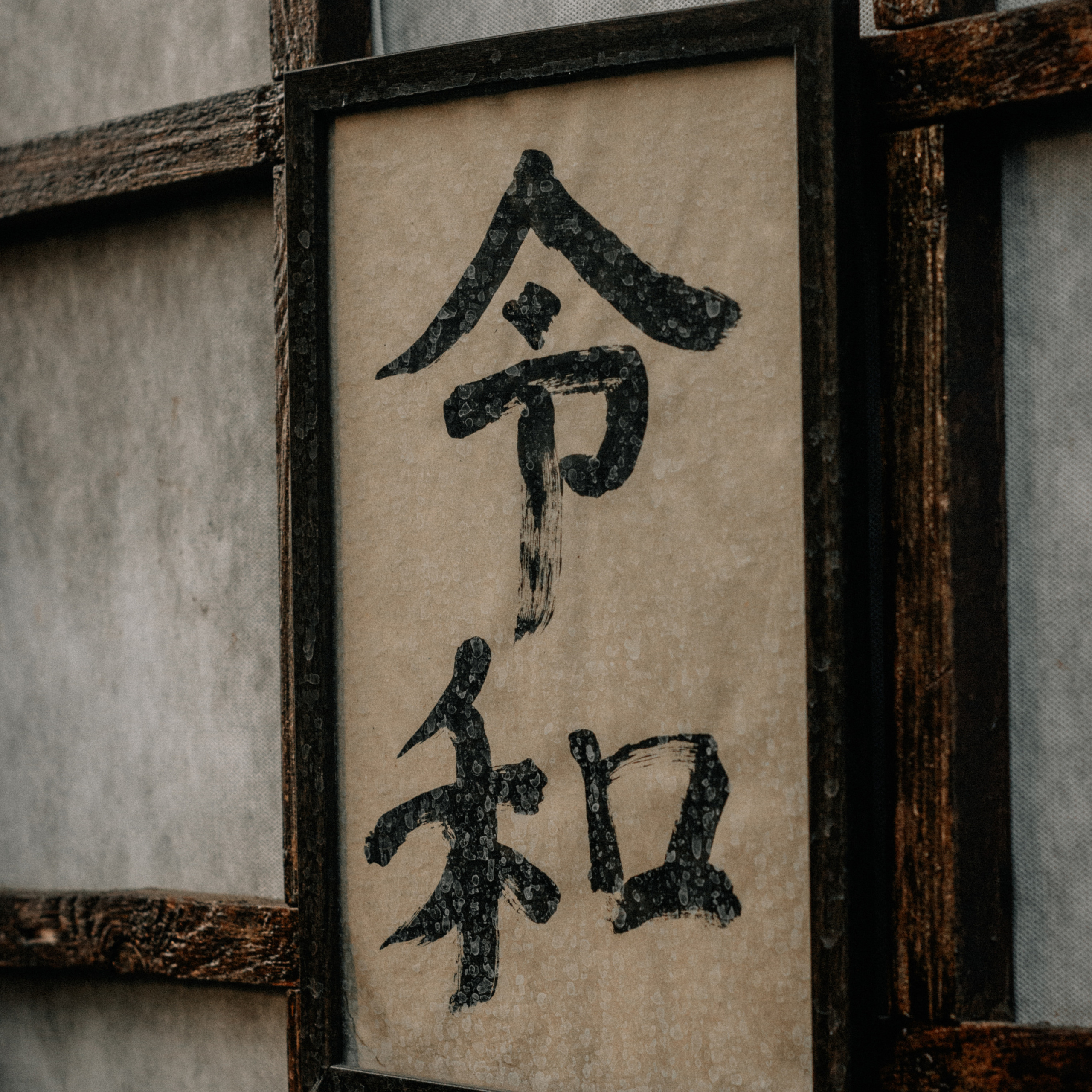 Отзывы. Индивидуальный фотограф в городе Чита