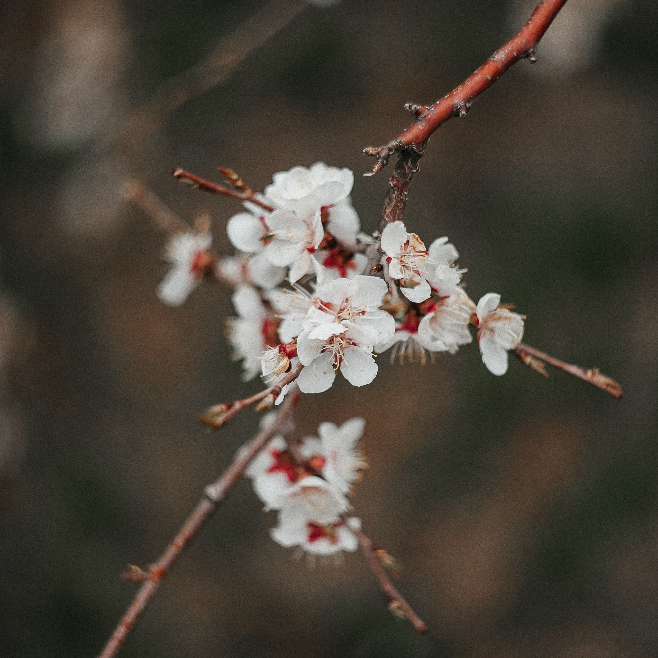 Отзывы. Индивидуальный фотограф в городе Чита