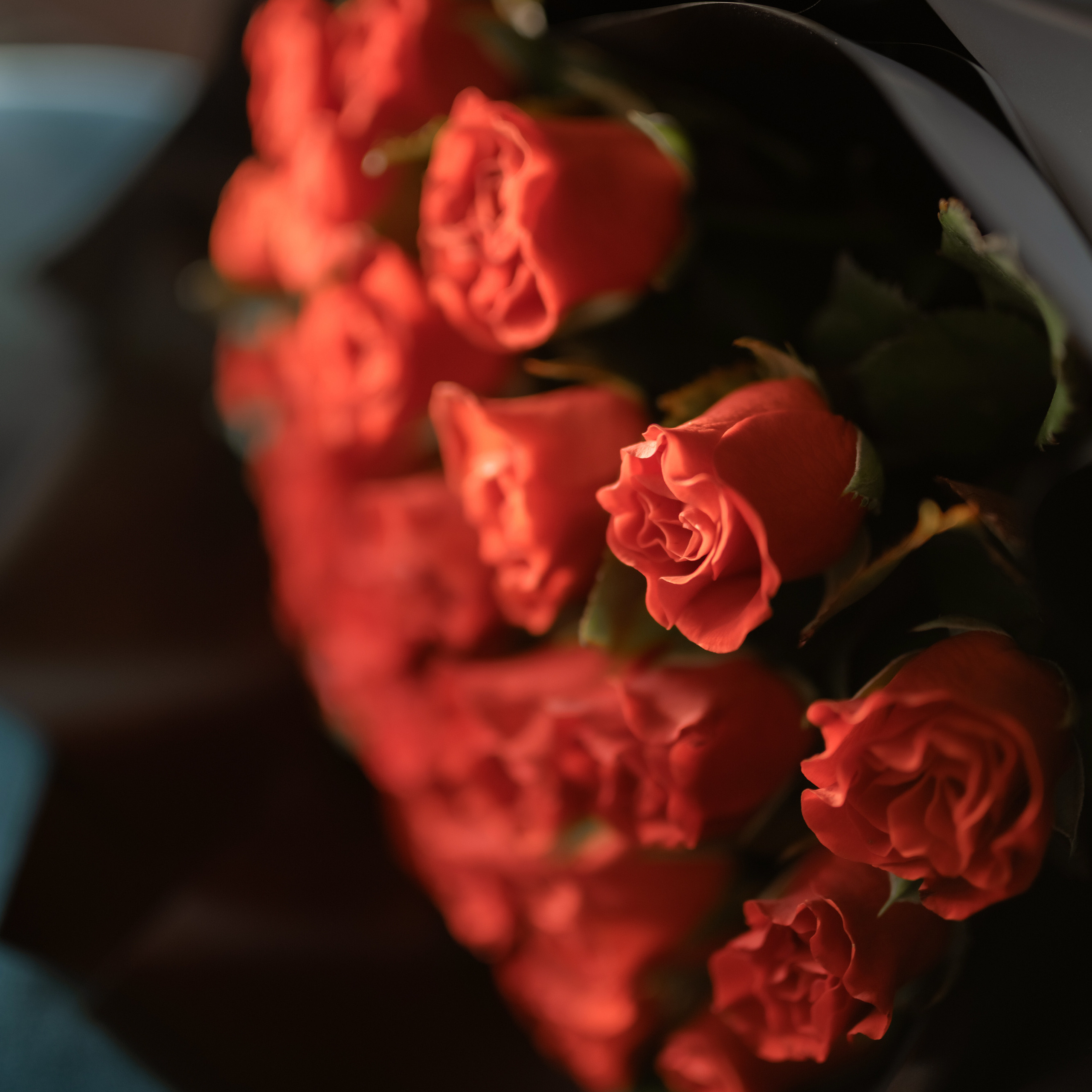 Отзывы. Семейный и женский фотограф в Крыму Олеся Вайло