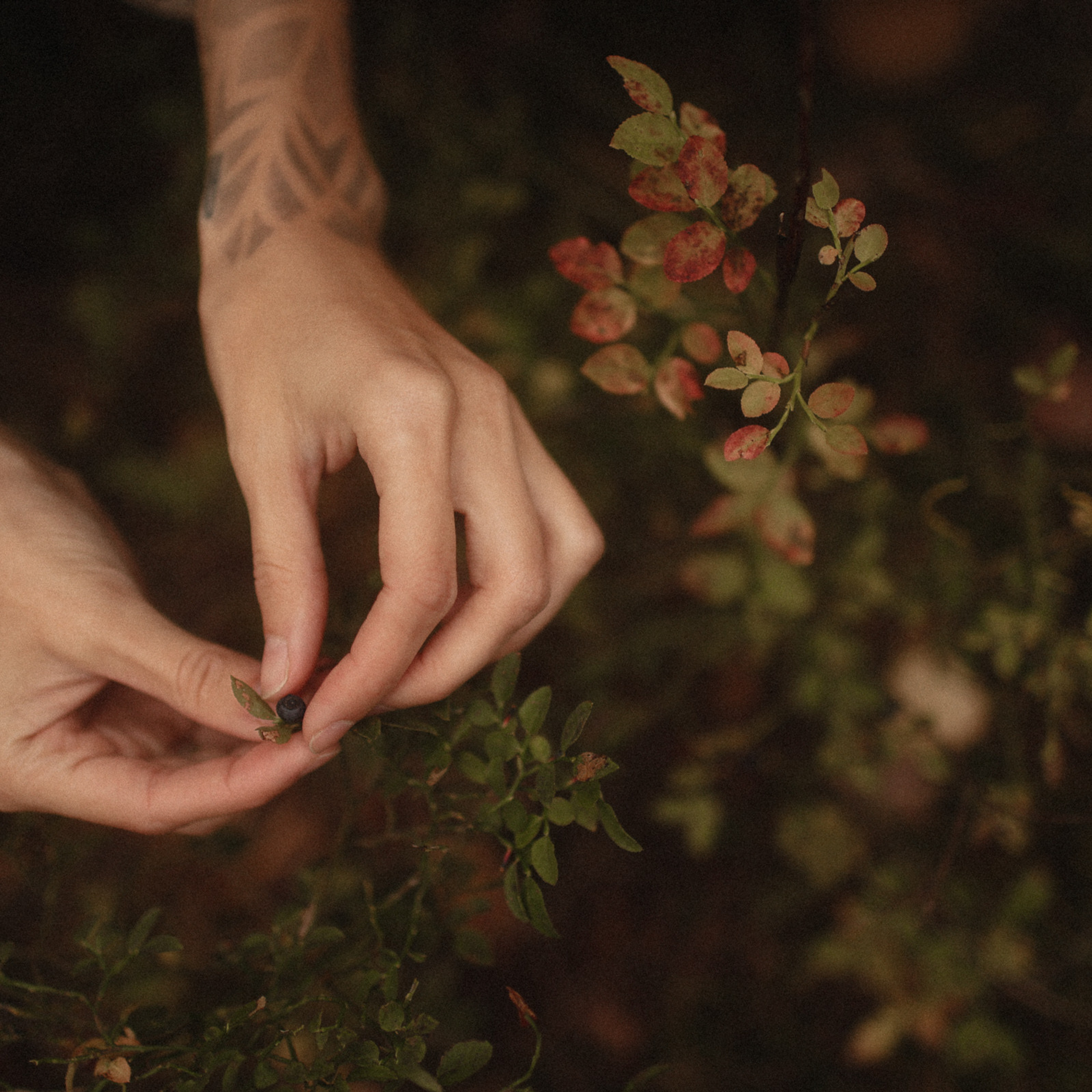 Отзывы. Свадебный и семейный фотограф Москва, Спб, Крым Игорь Сазонов
