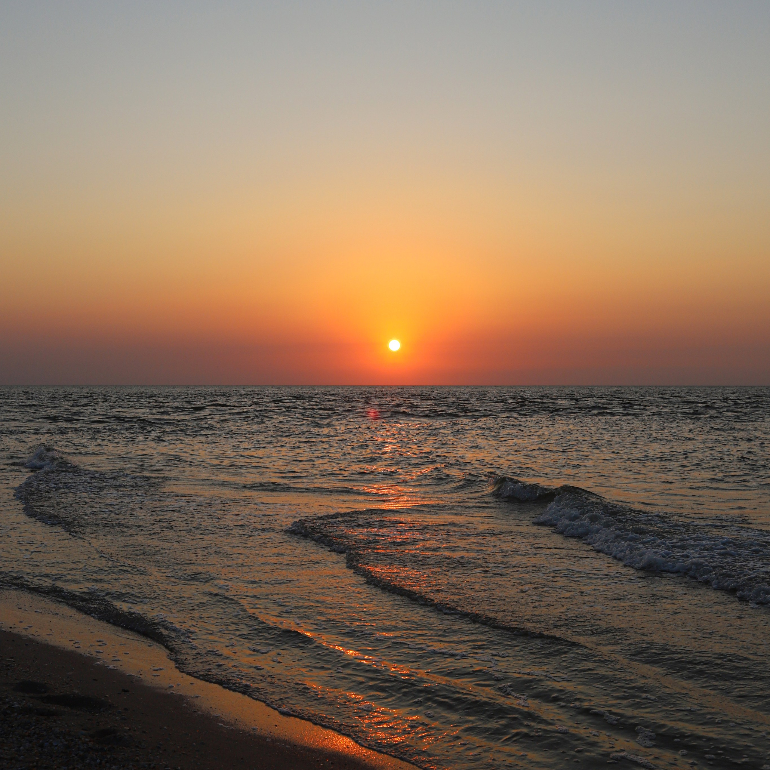 Comments. Web design and printing in Moscow