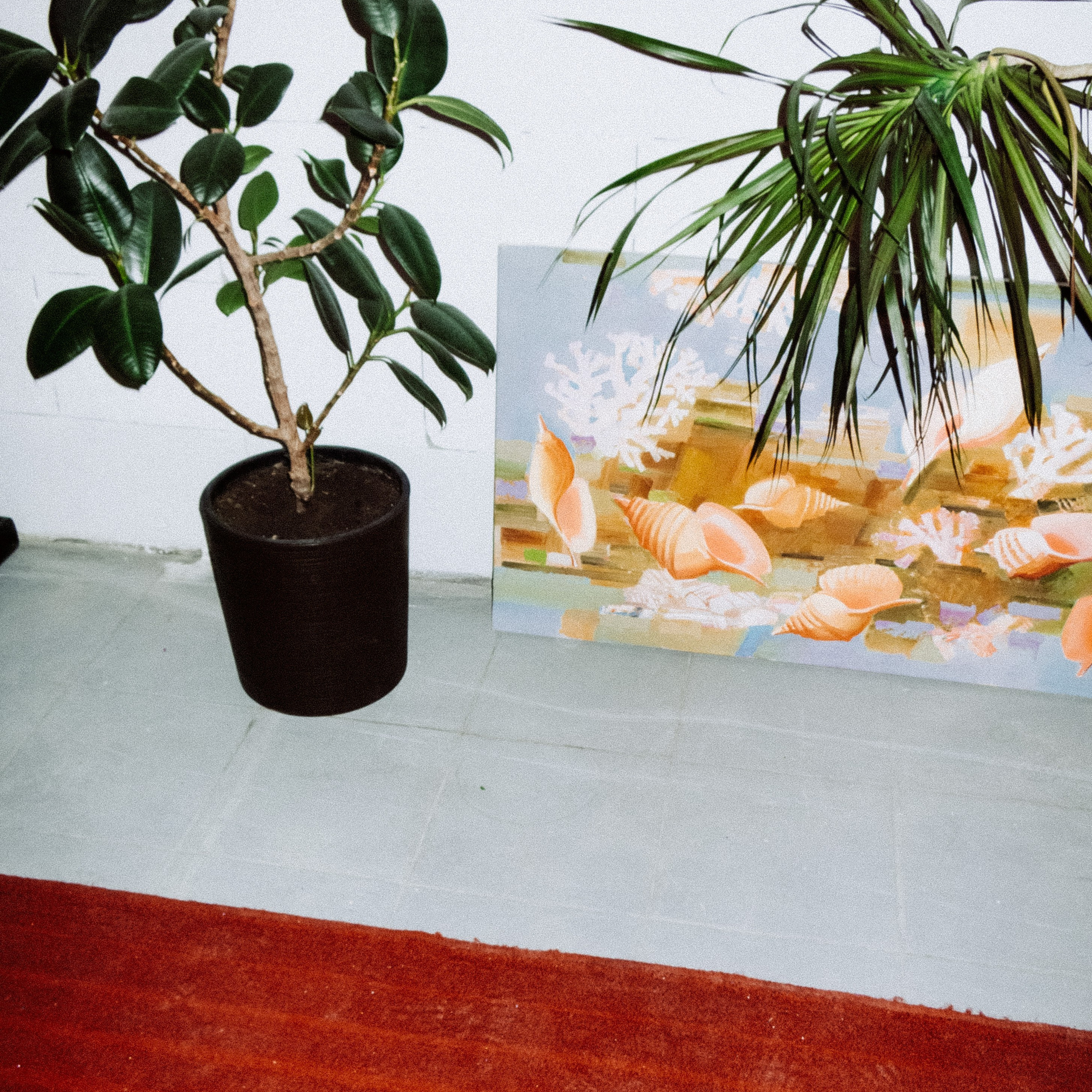 Отзывы о Моих Снимках - Жунин Александр Фотограф Челябинск