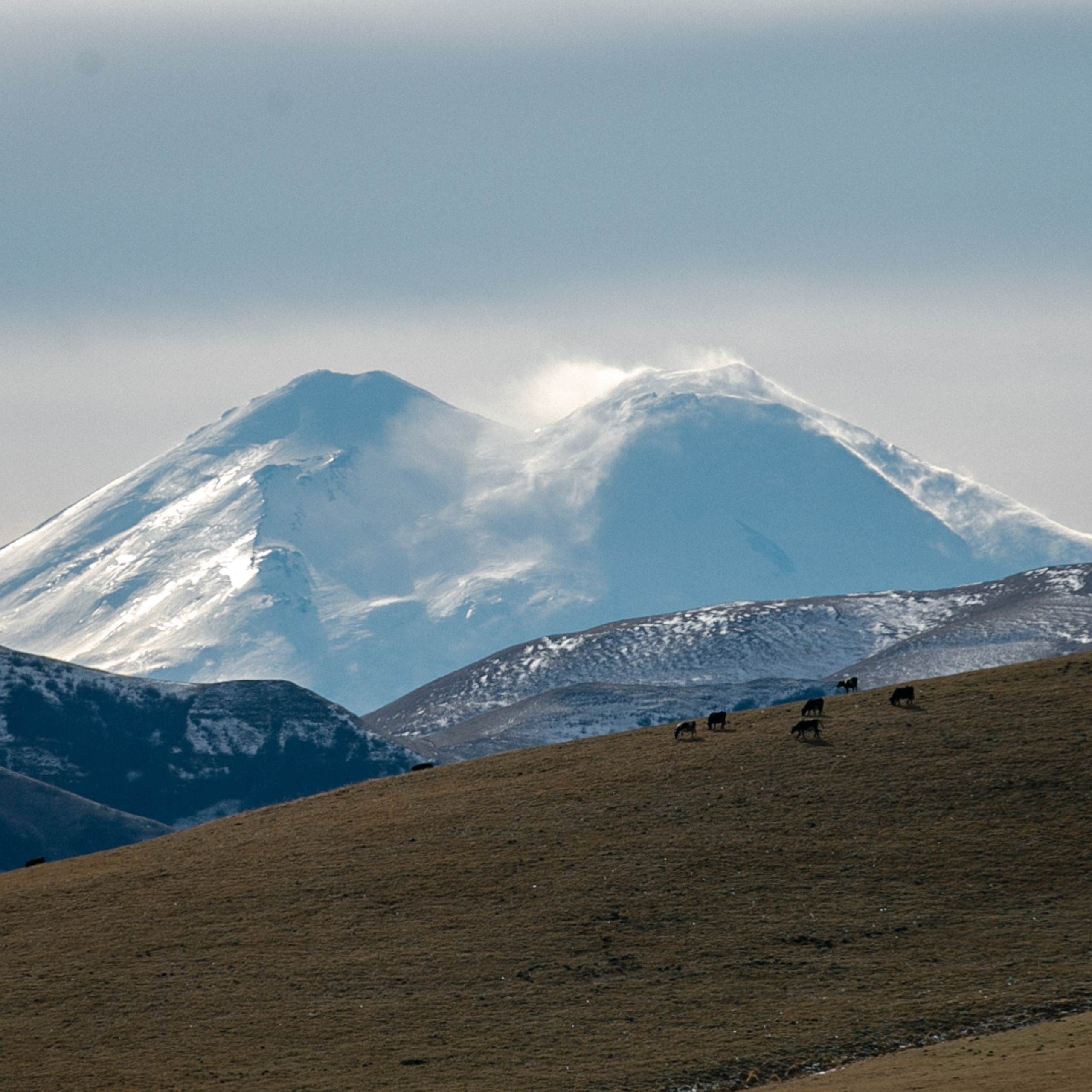 Отзывы. Фотограф Светлана Дмитриева