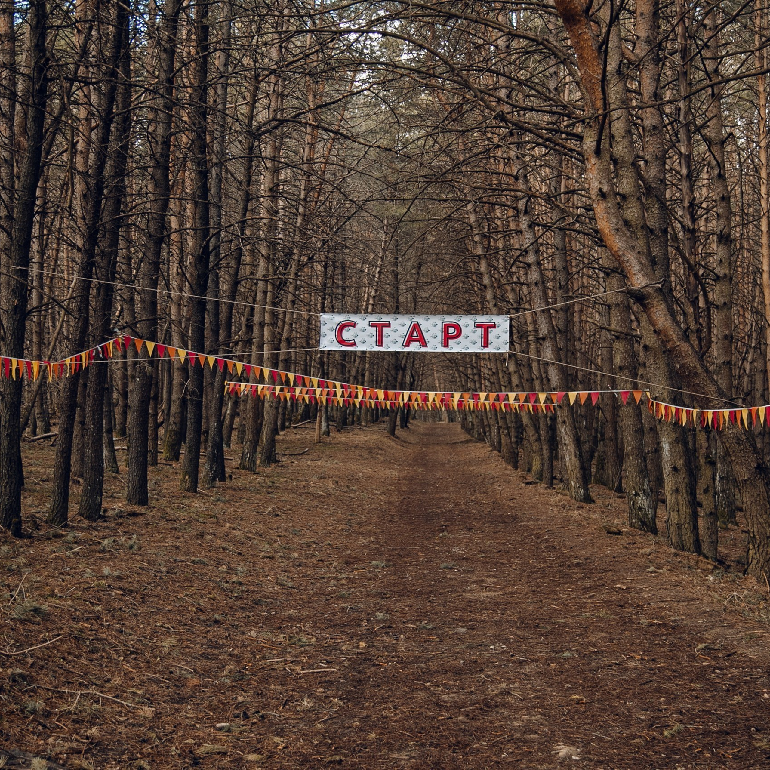 Отзывы. Фотограф Светлана Дмитриева