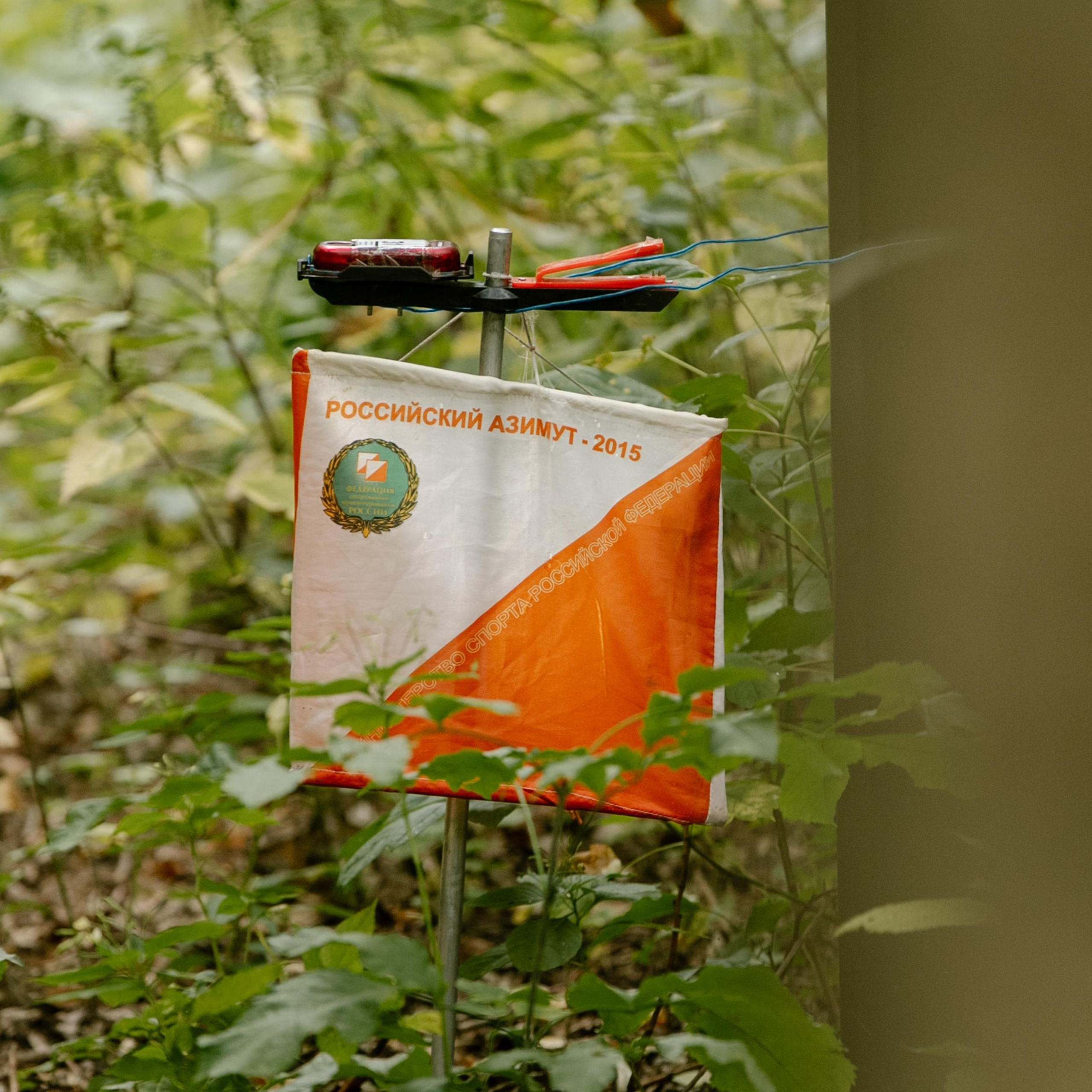 Отзывы. Фотограф Светлана Дмитриева