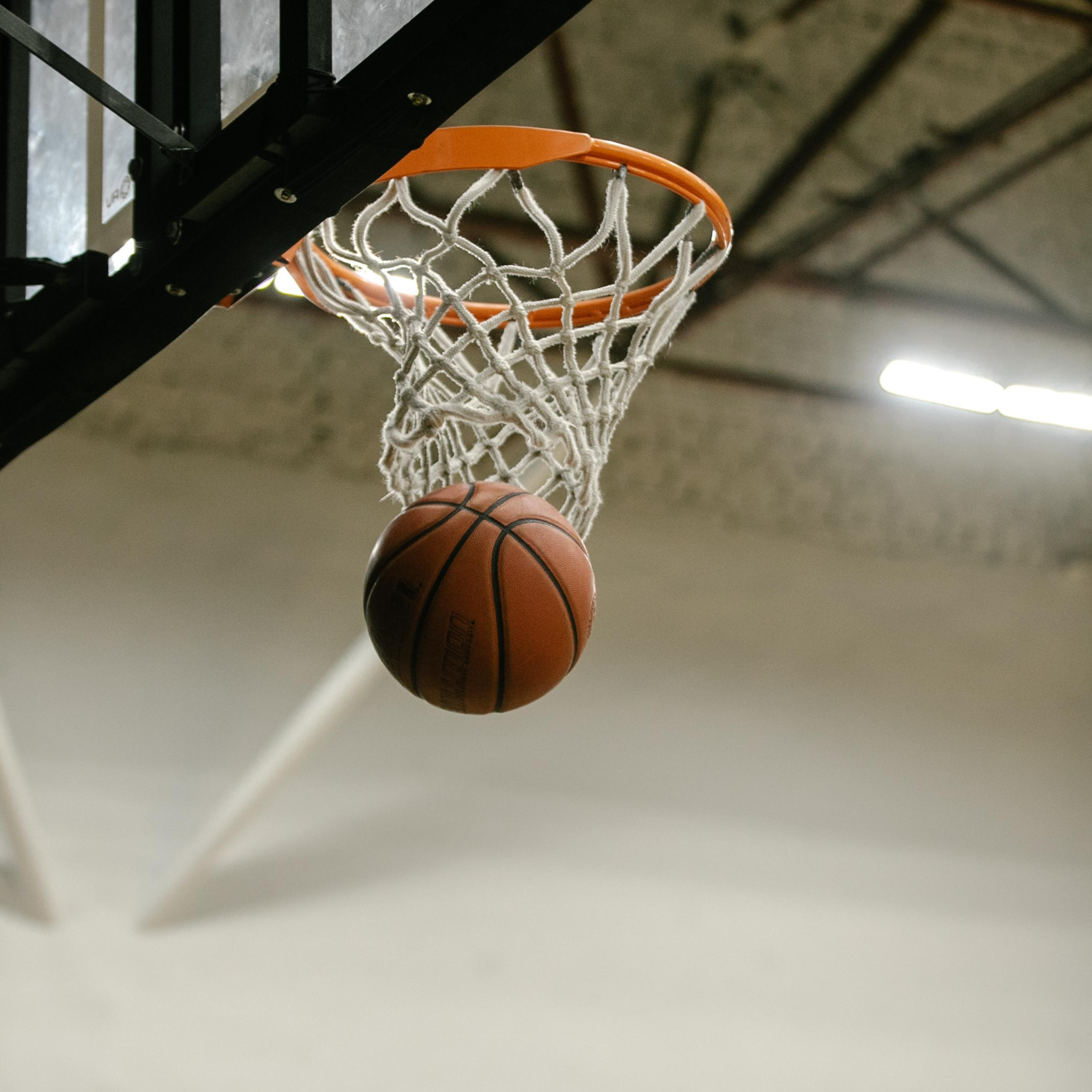 Отзывы. Фотограф Светлана Дмитриева