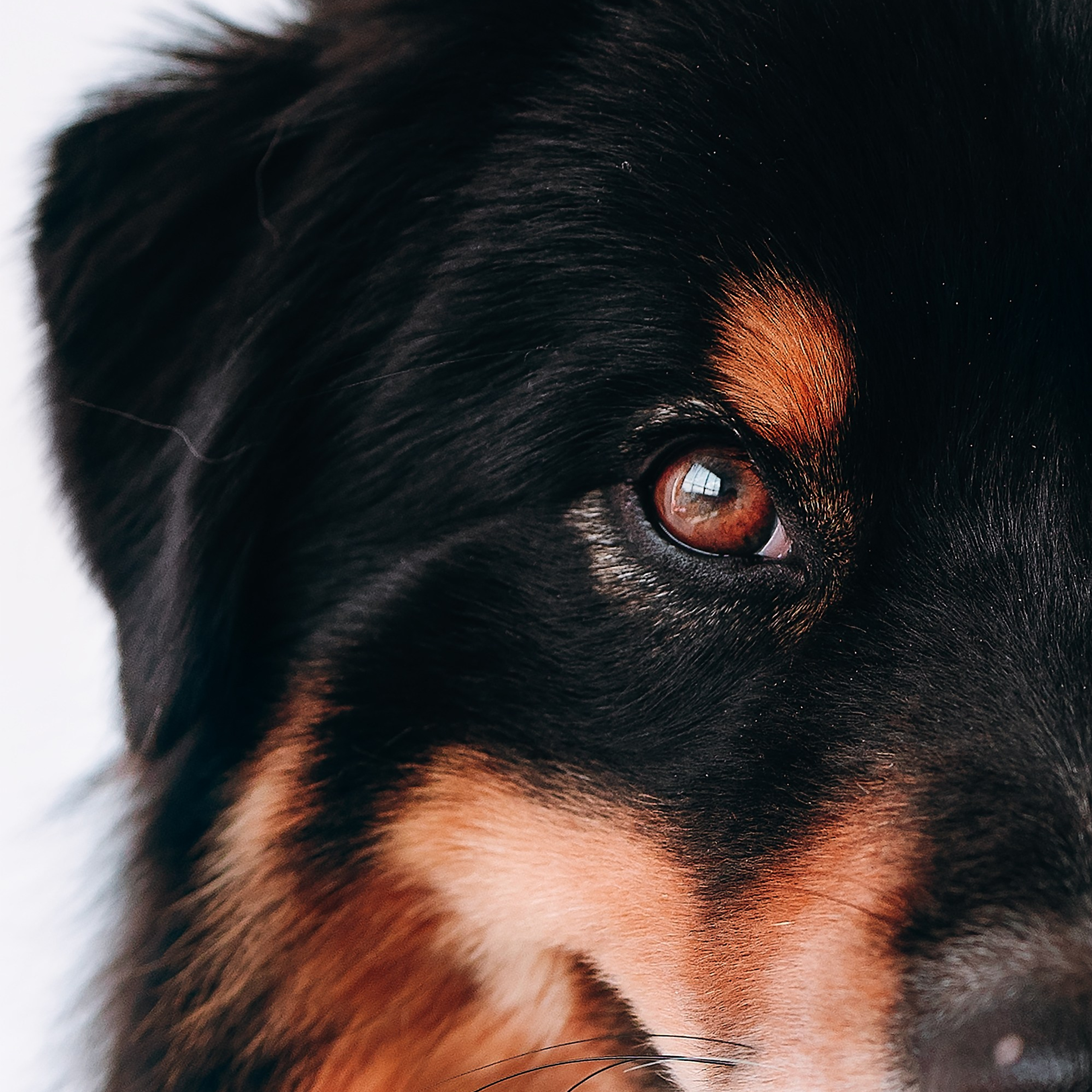 День рождения Рея