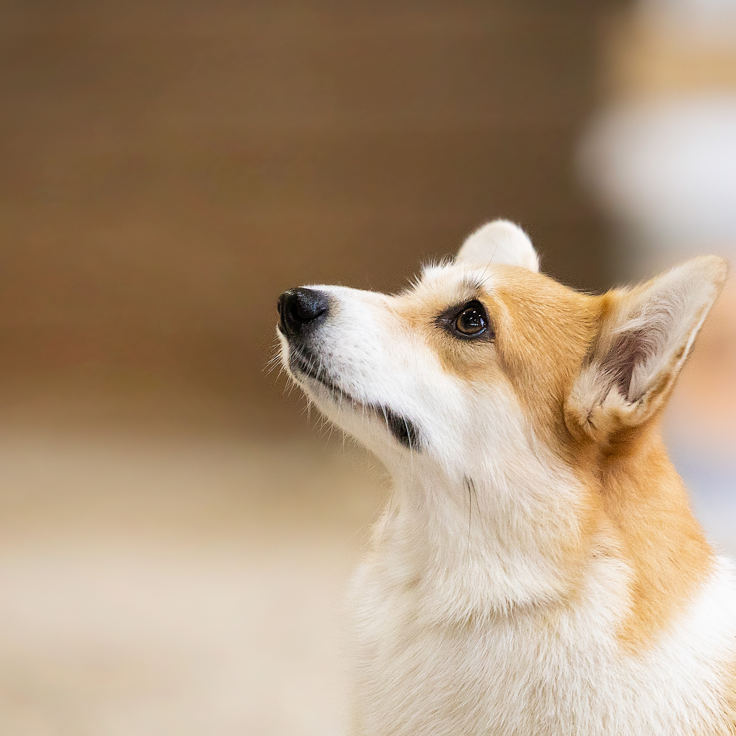 Выставочный репортаж