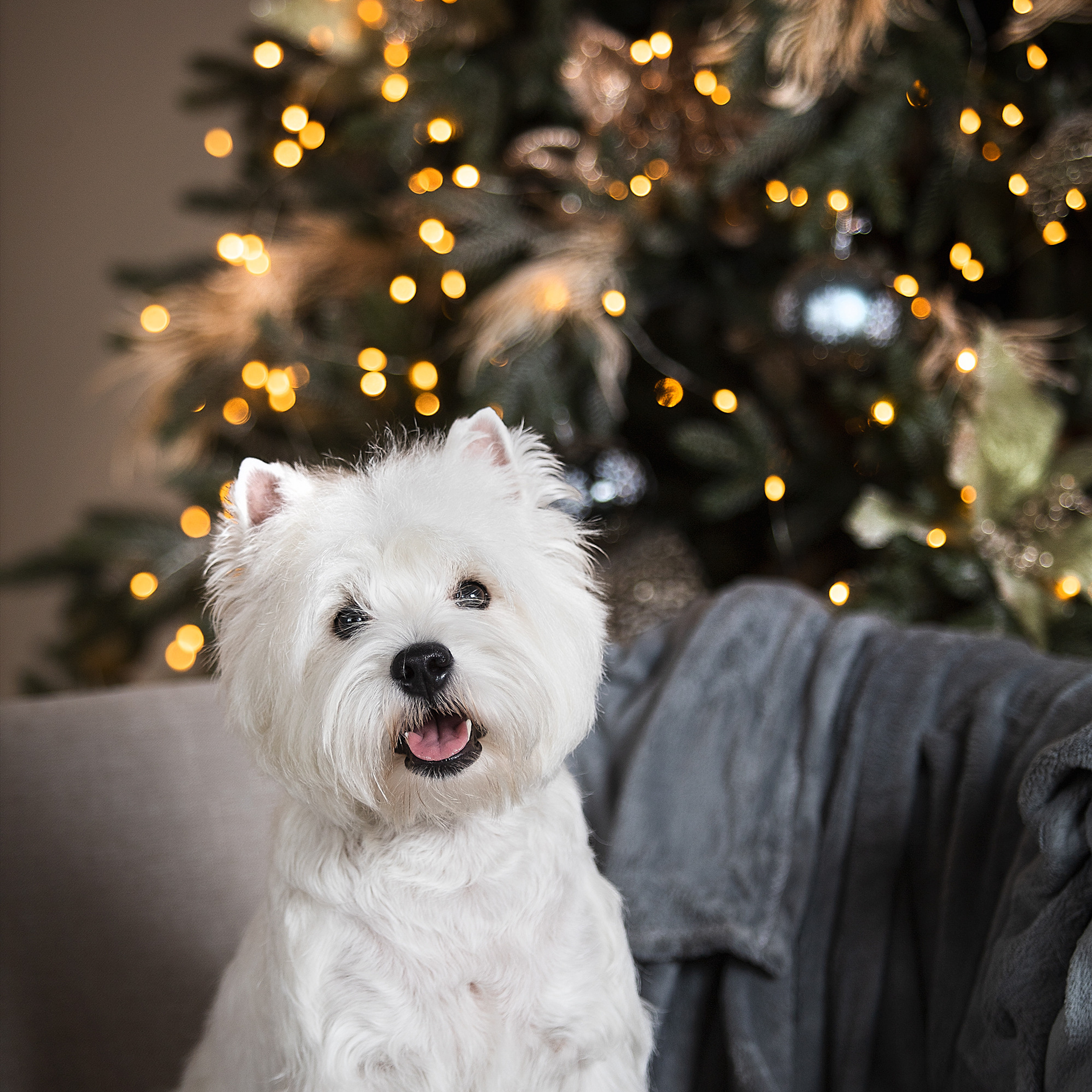 Студийные фотосессии