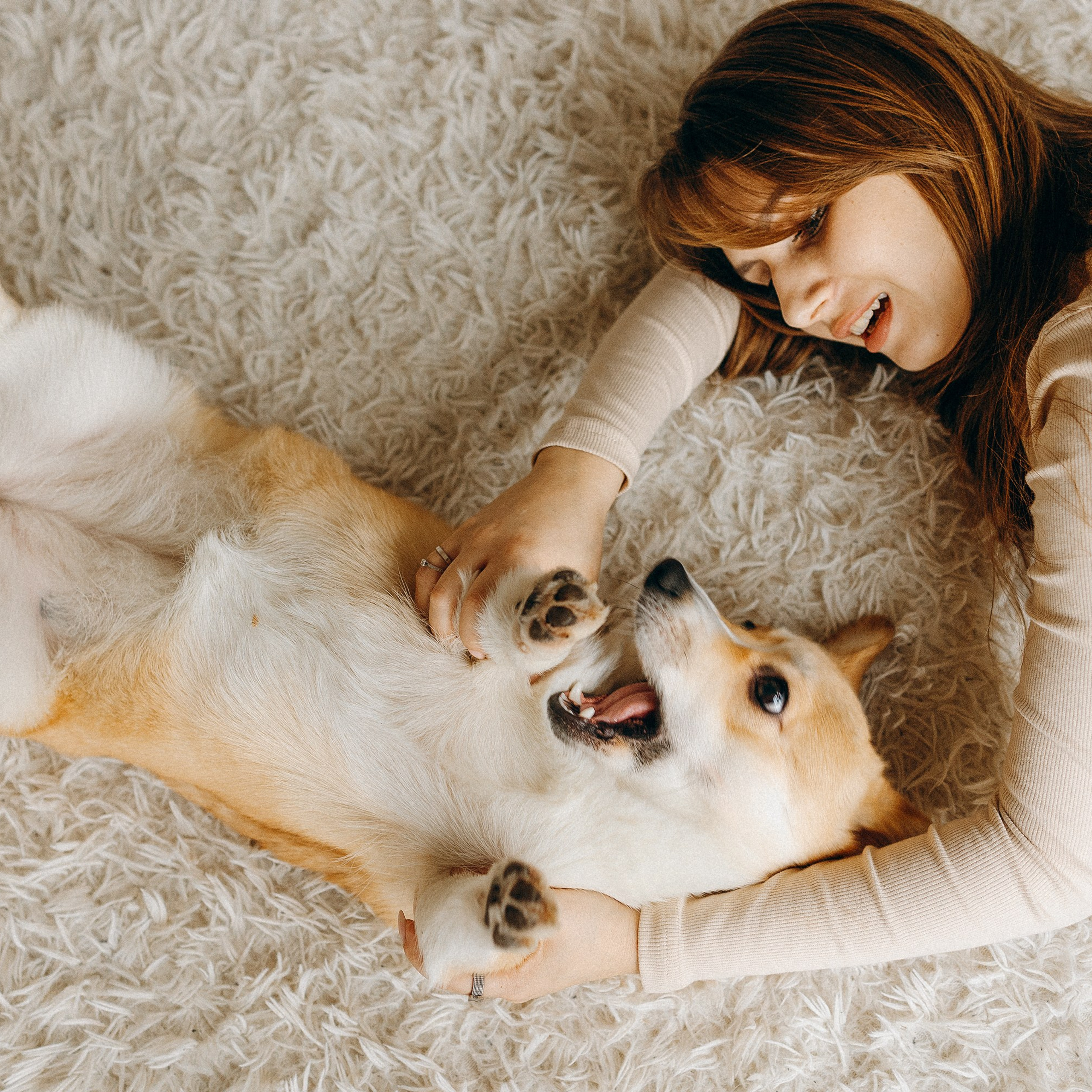 Семья с корги