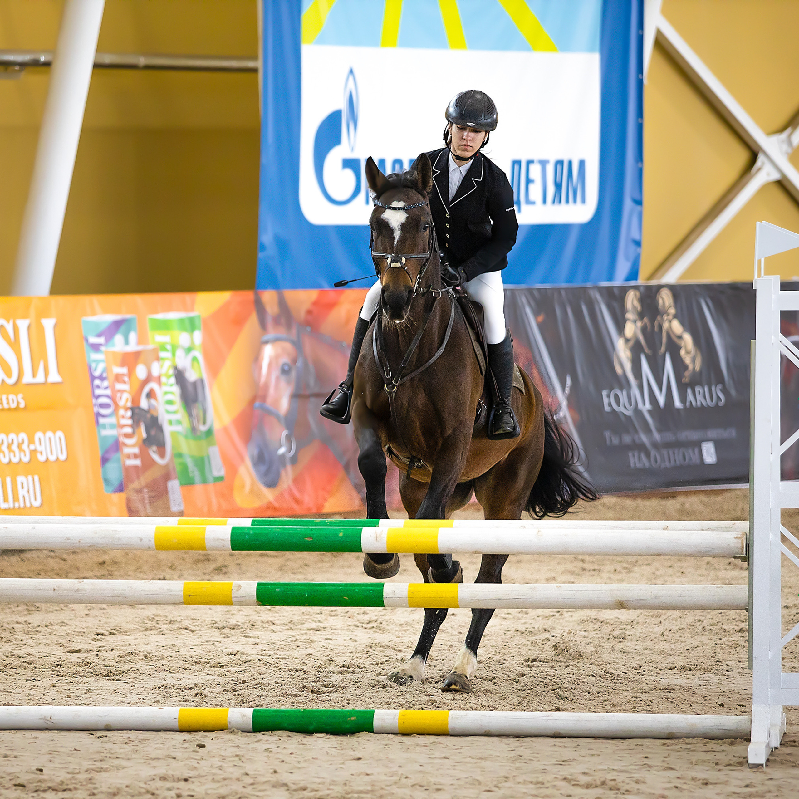 Соревнования. Конкур