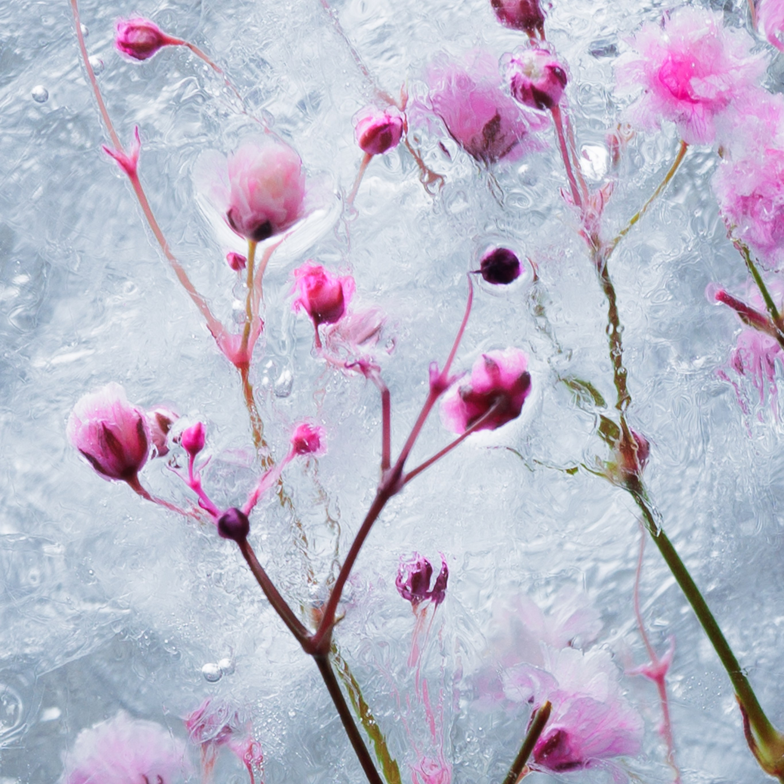 Пробуждение