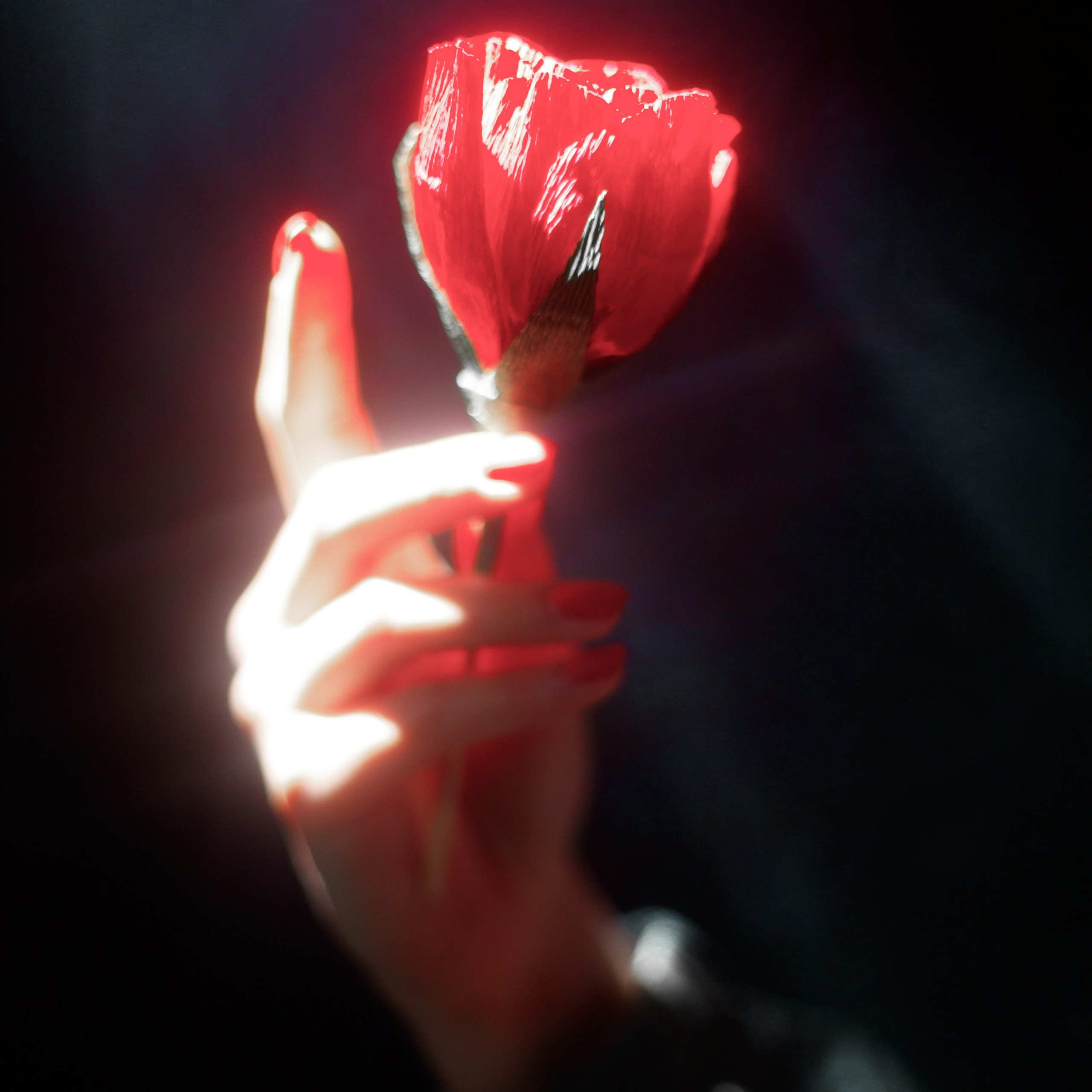 Маленький принц