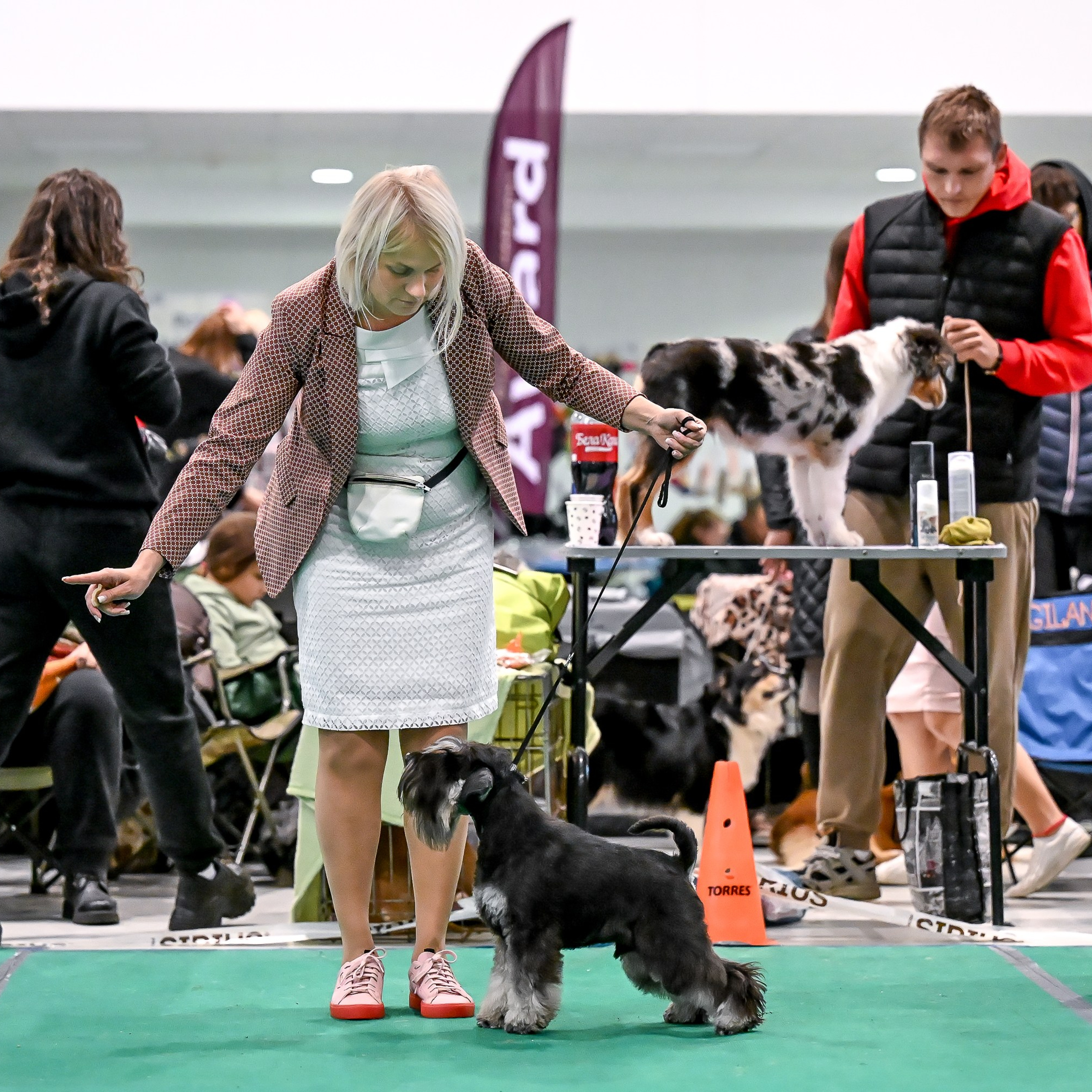 Дариус/ Delinso Balance Chivas Regal