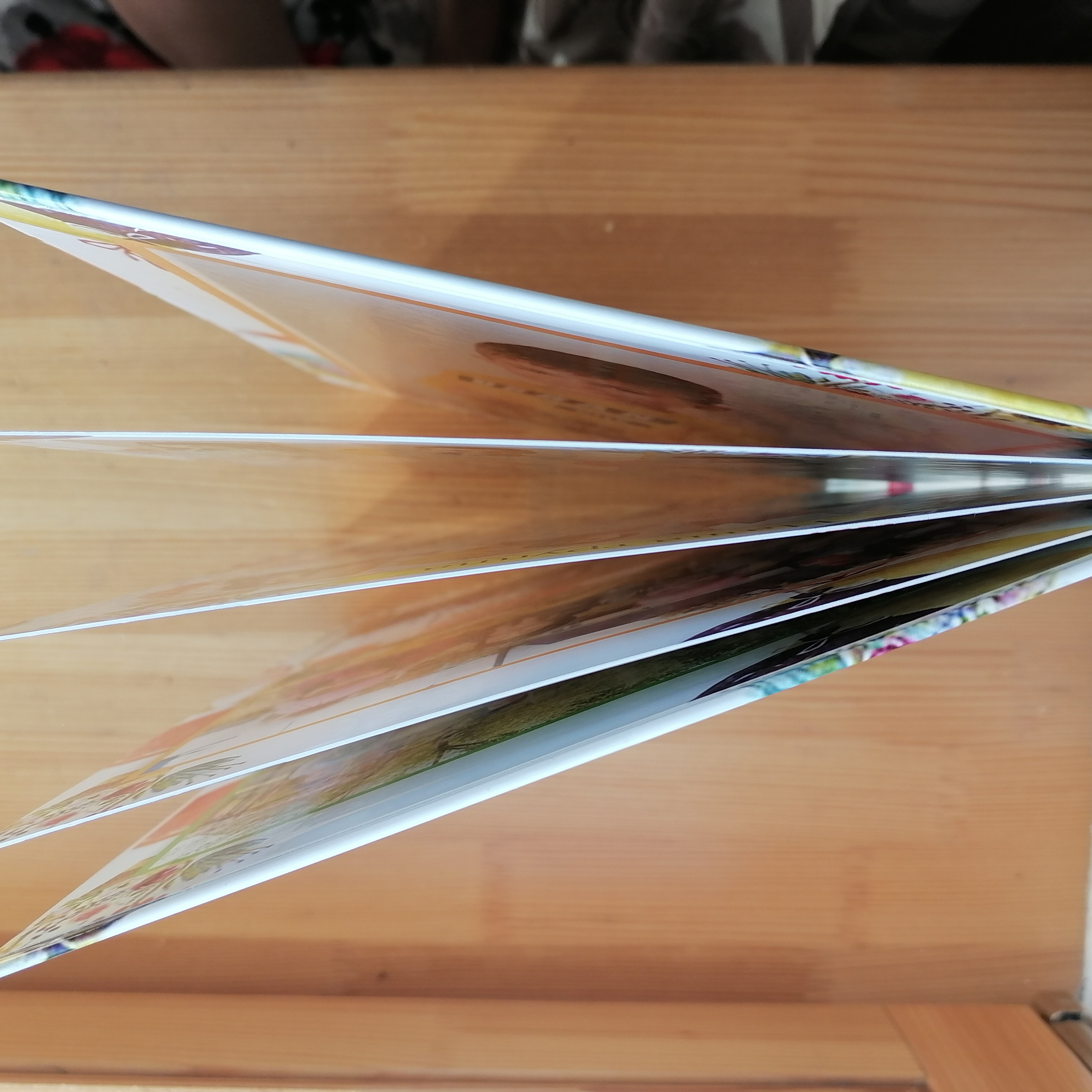 Альбомы с разворотами