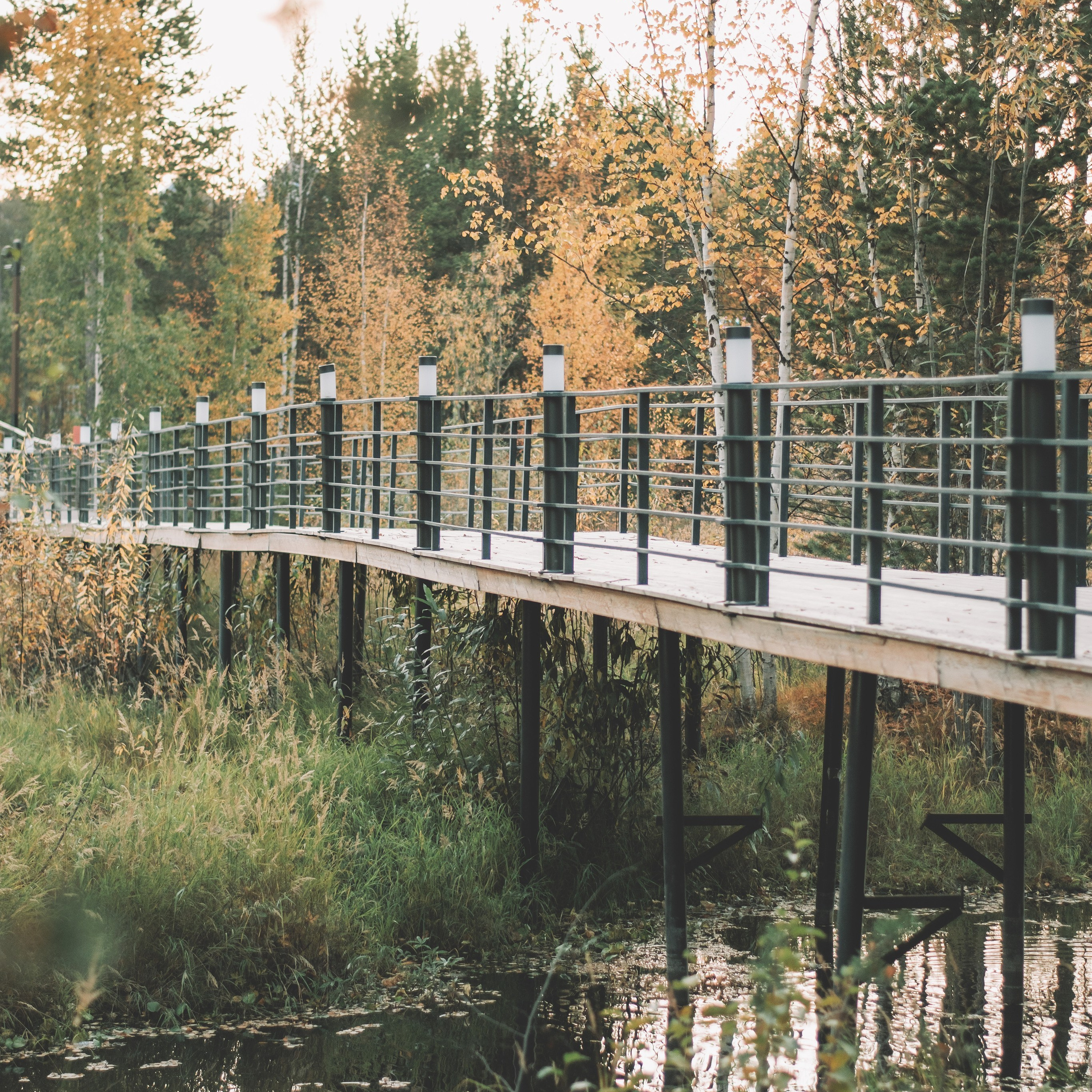 Улицы, парки, скверы.