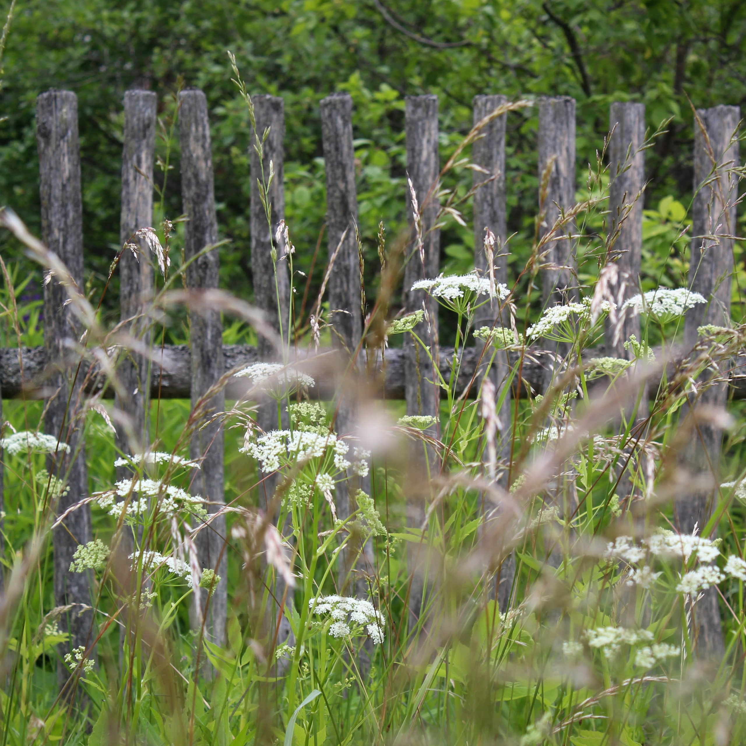 Лихославльский округ. Фотограф Ксения Монахова