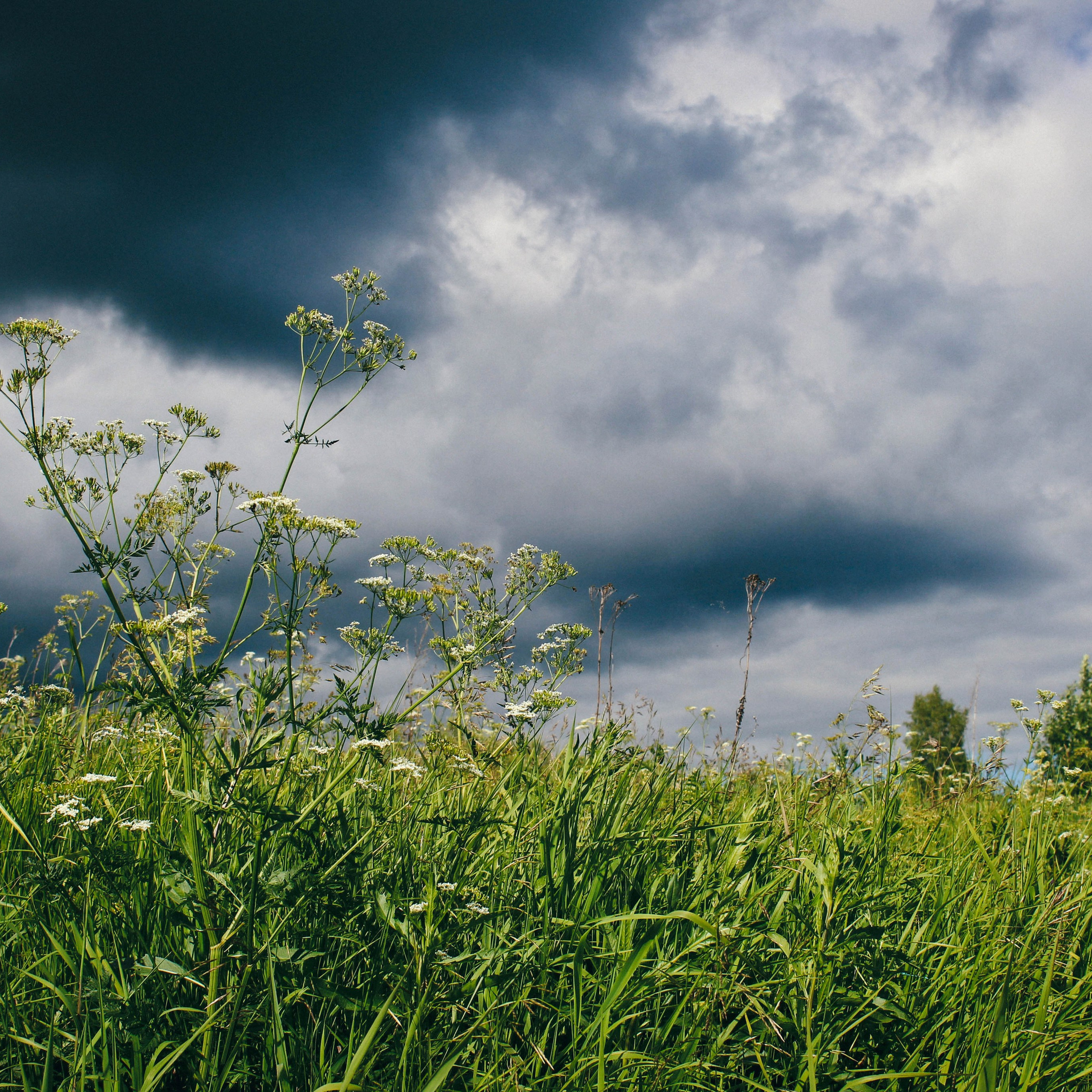 Лихославльский округ. Фотограф Ксения Монахова