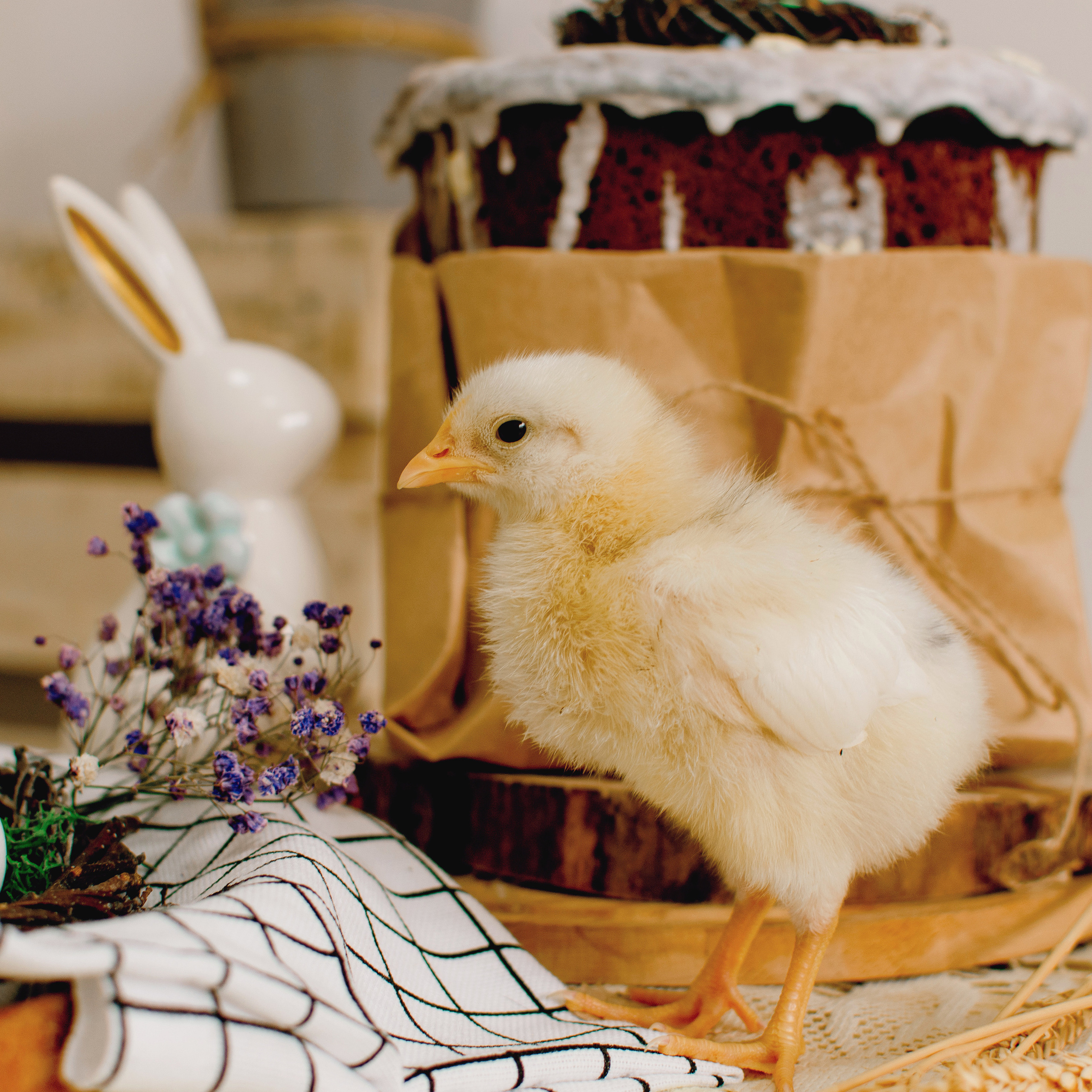 Пасхальный фотопроект