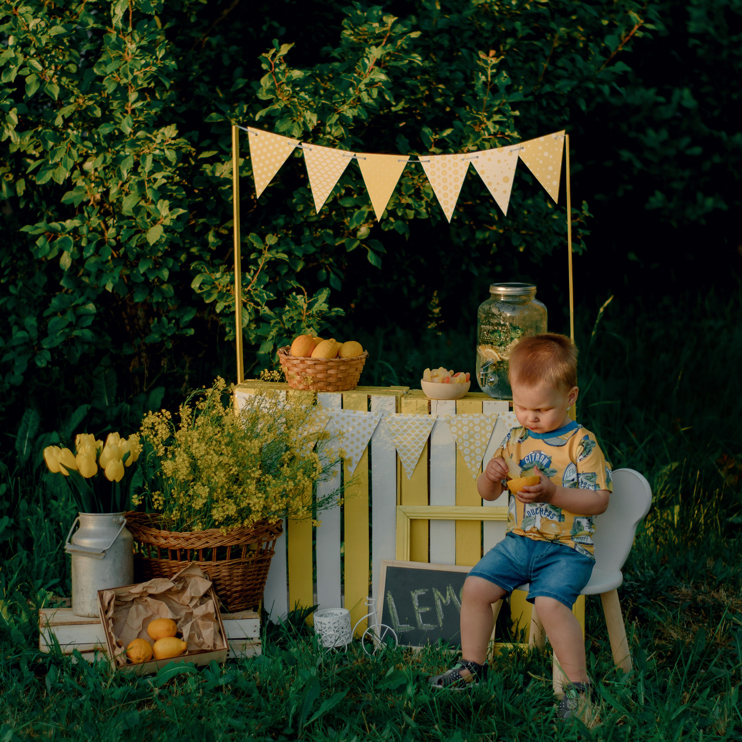 Лимонадный фотопроект