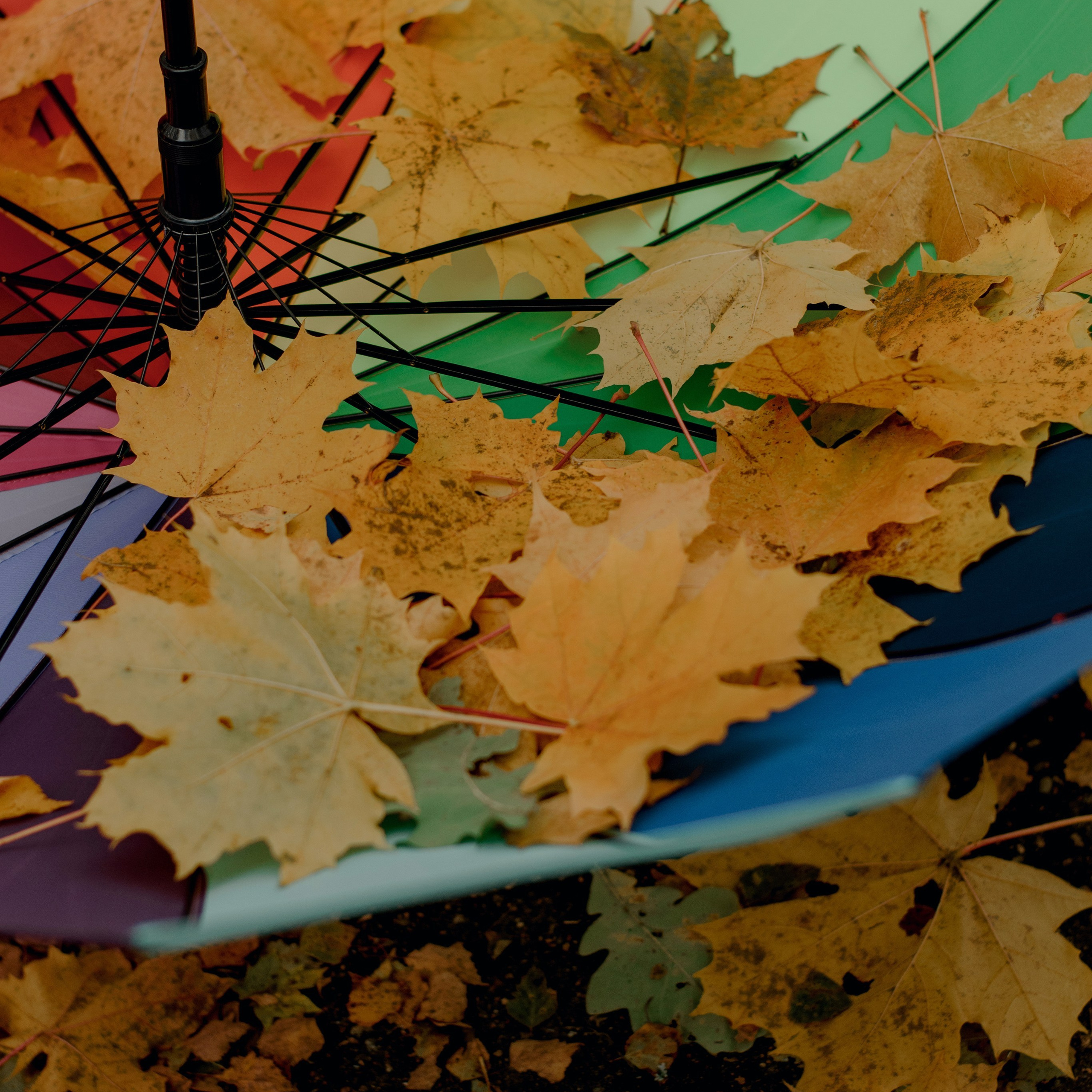 Отзывы. Свадебный и семейный фотограф в Смоленске и Ярцево Чурнасова Мария