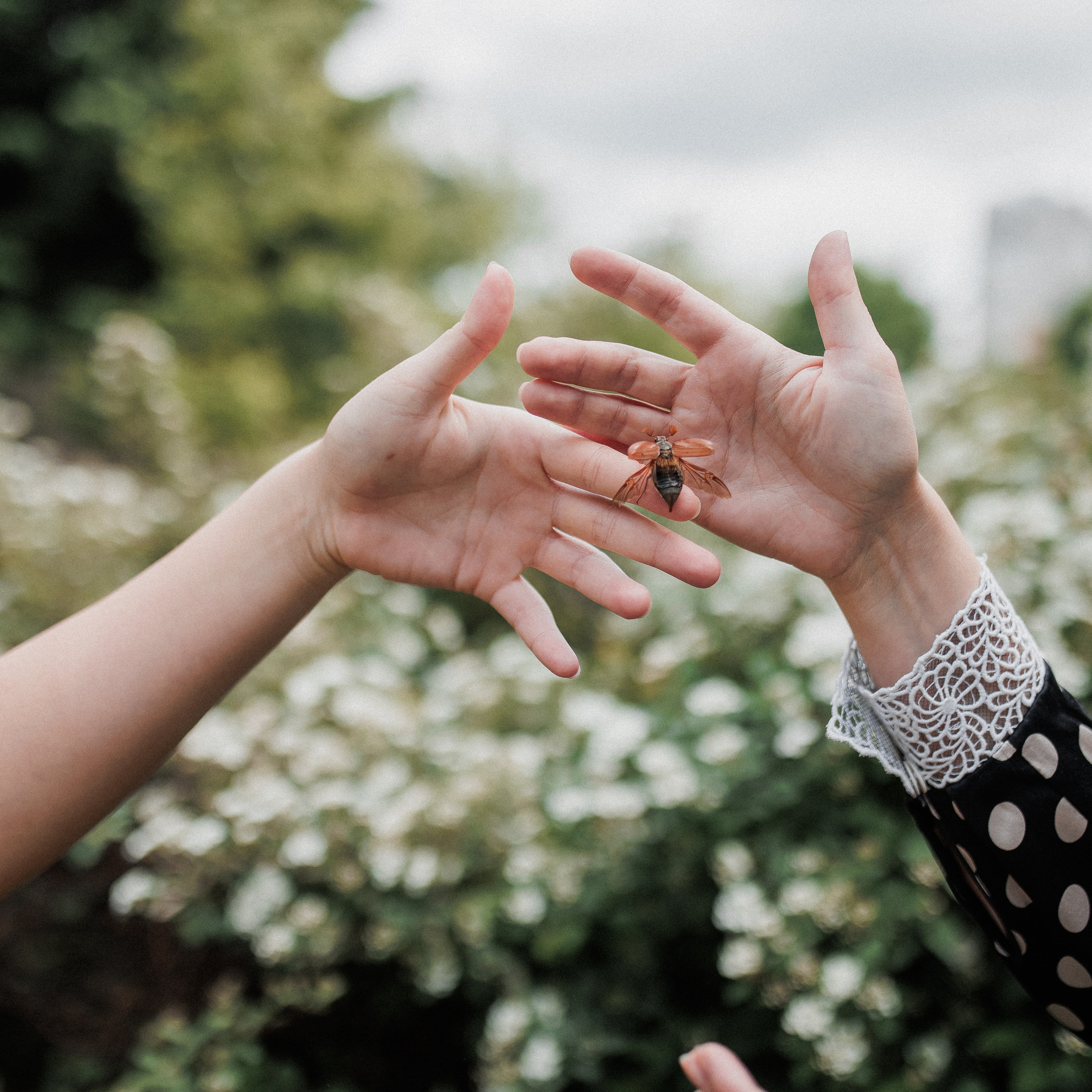 Отзывы клиентов. Свадебный и семейный фотограф Москва Екатерина Верижникова