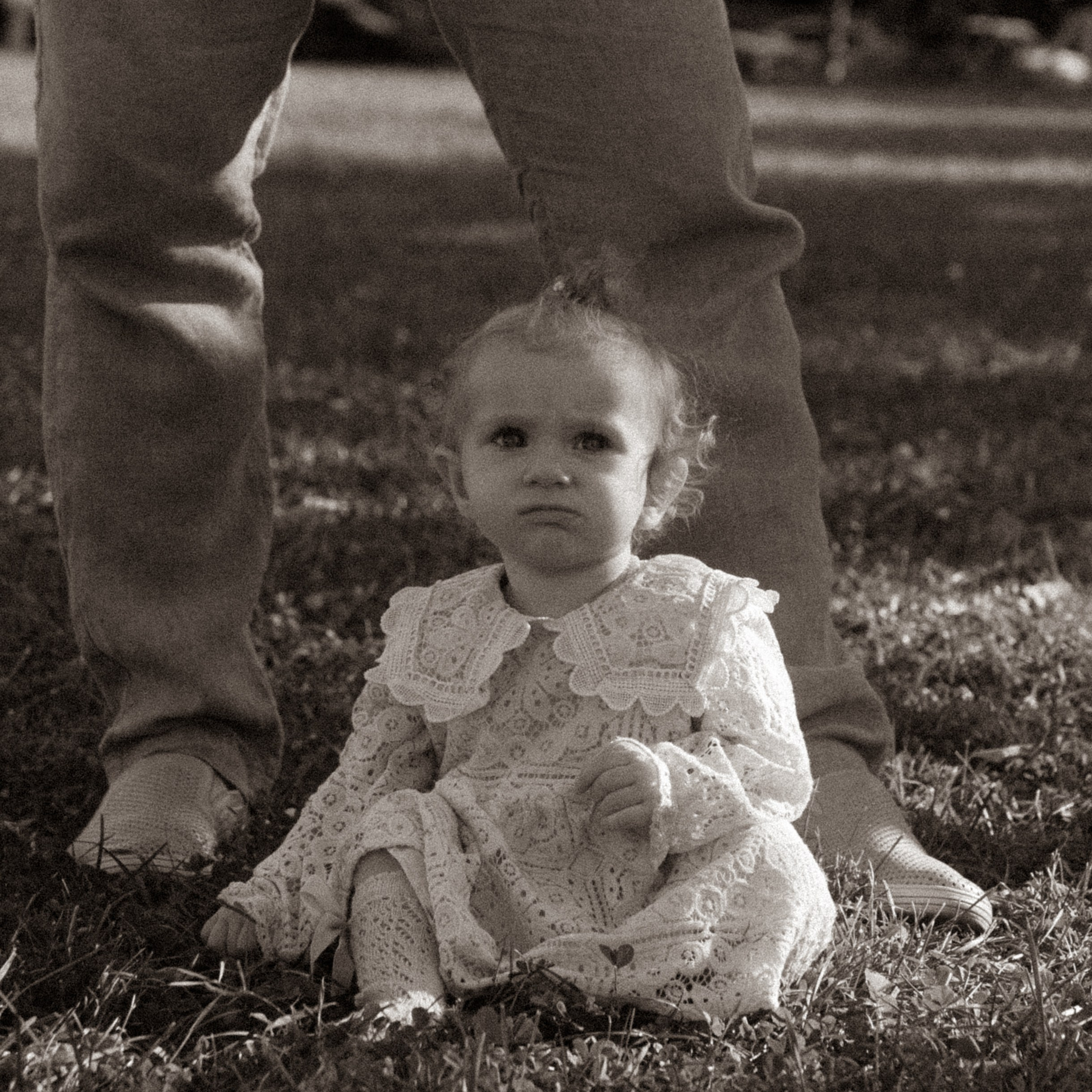 Family stories. Главная