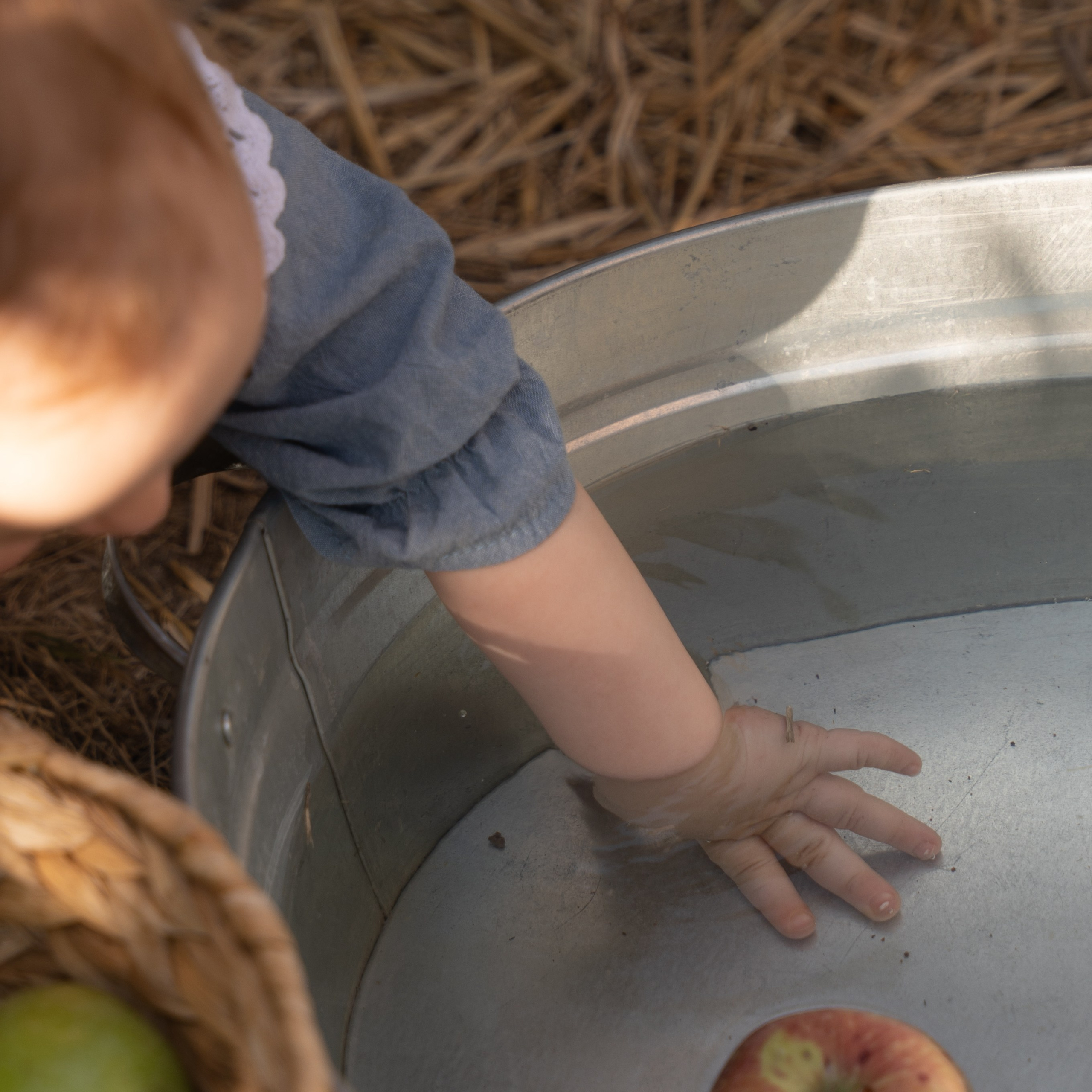 Family stories. Главная
