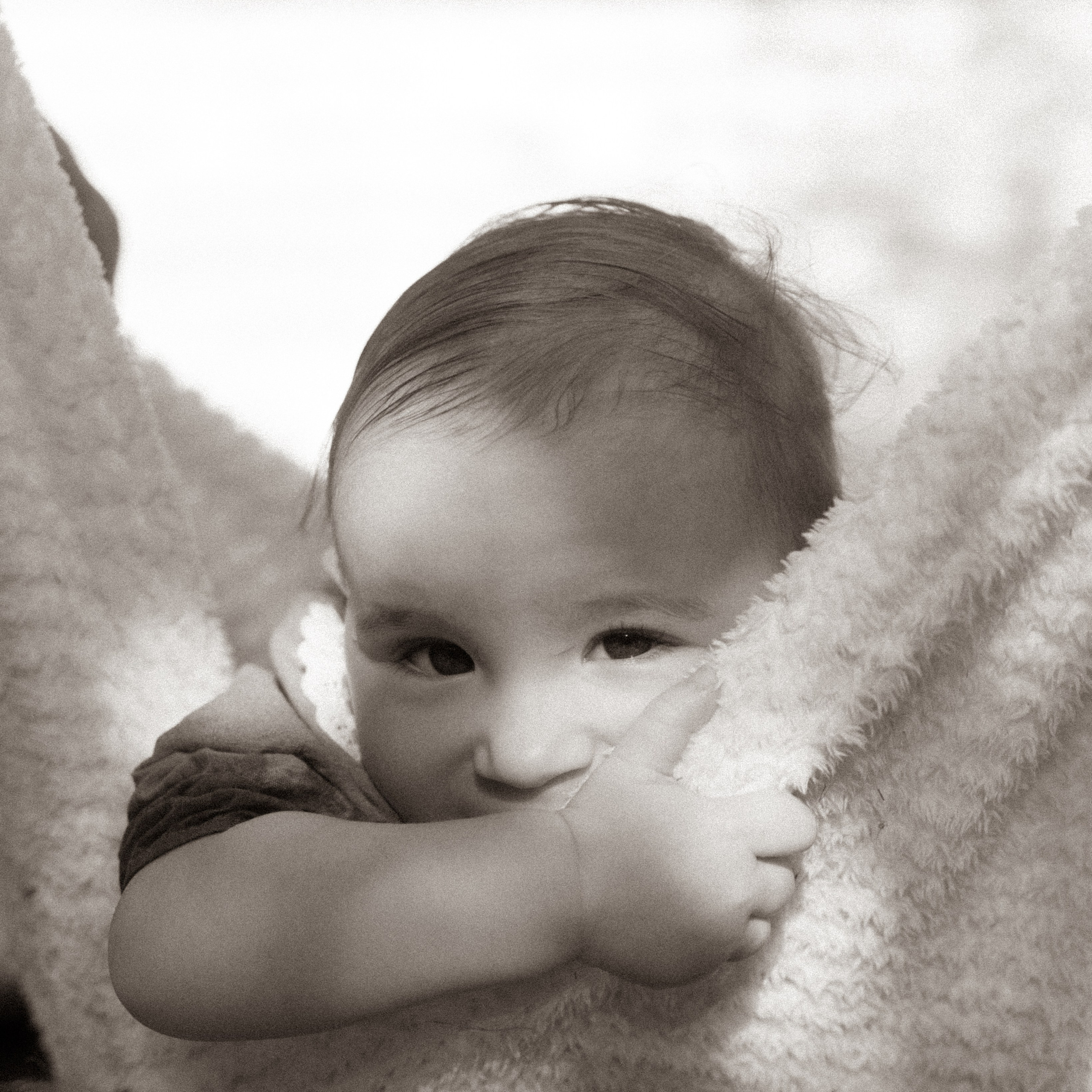 Family stories. Главная