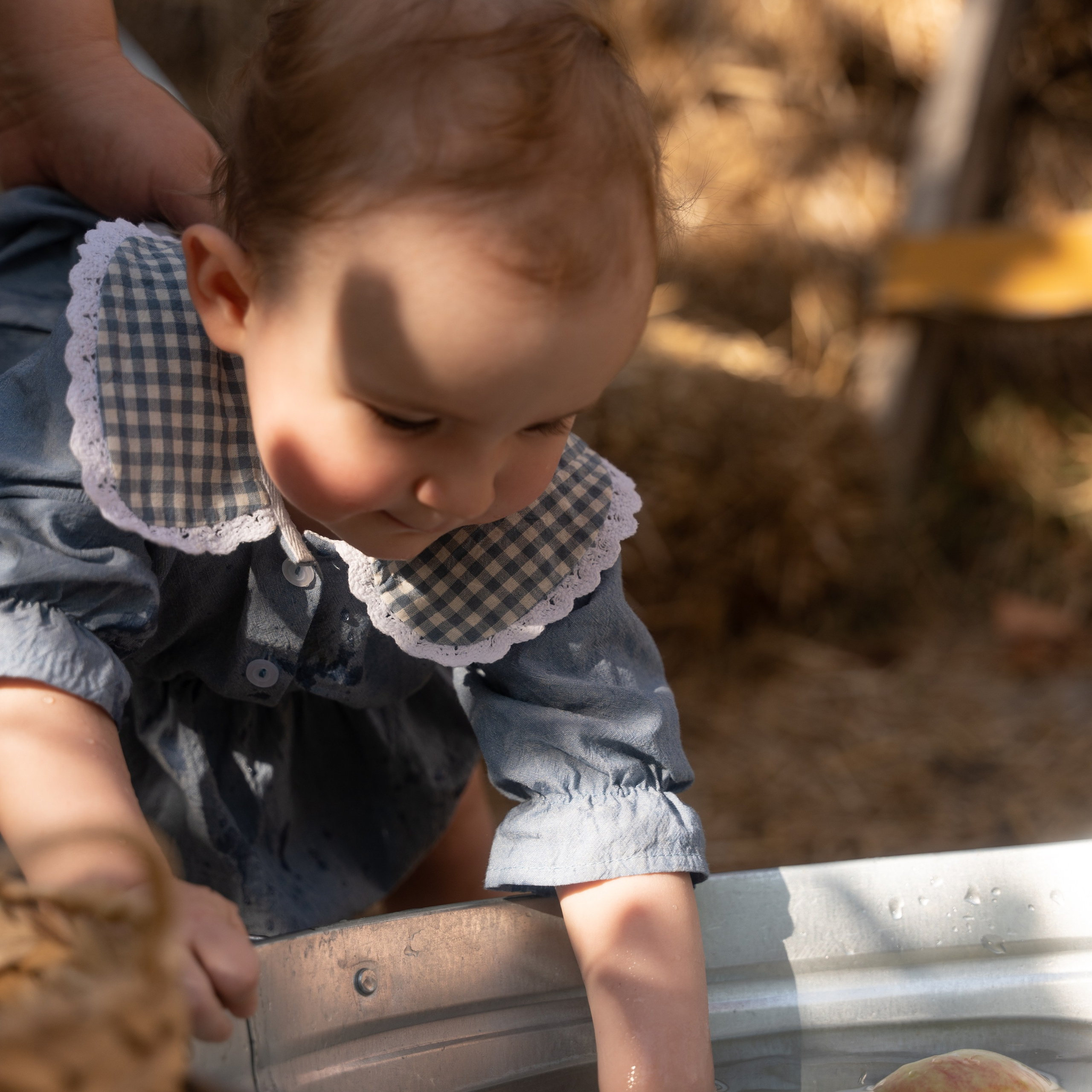 Family stories. Главная