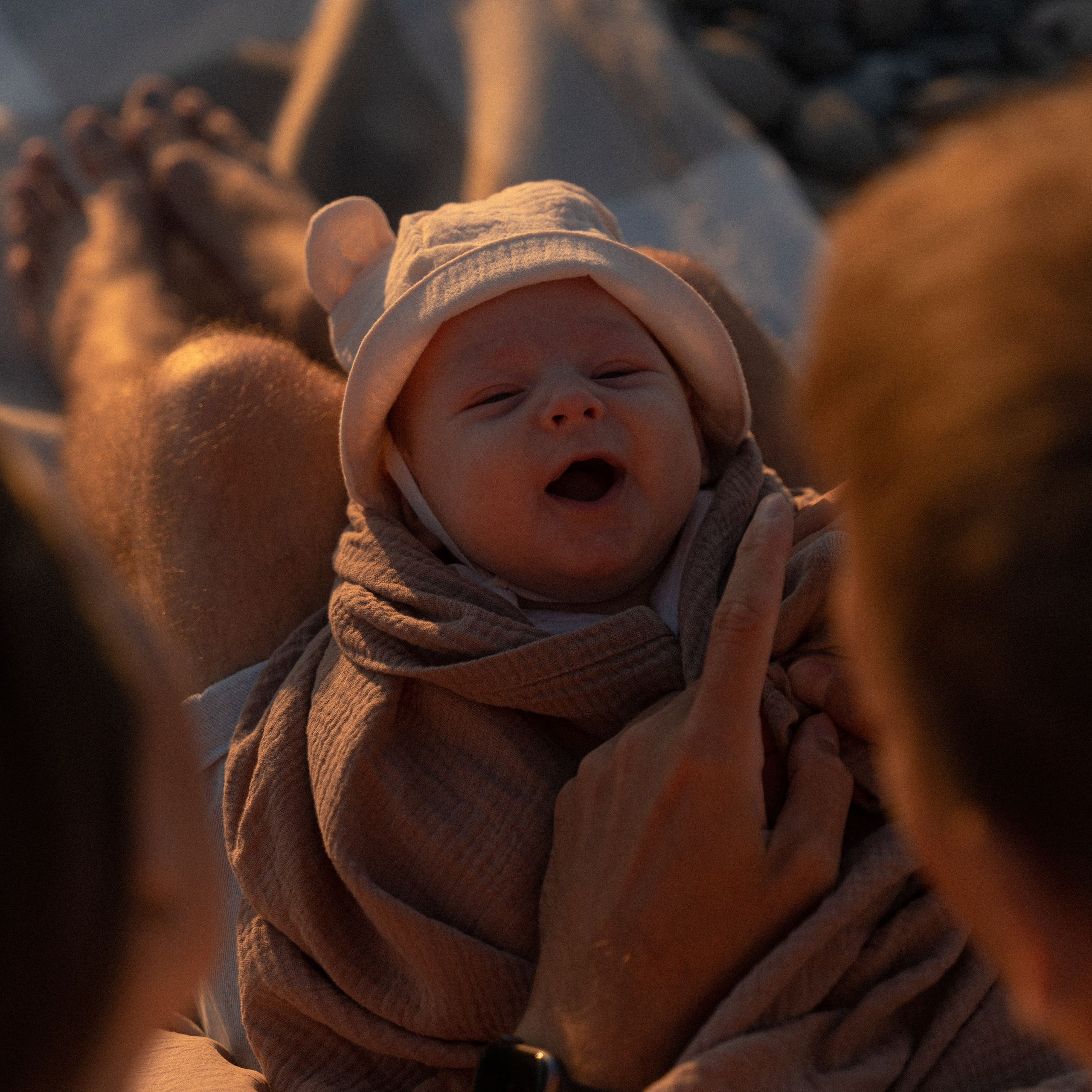 Family stories. Главная