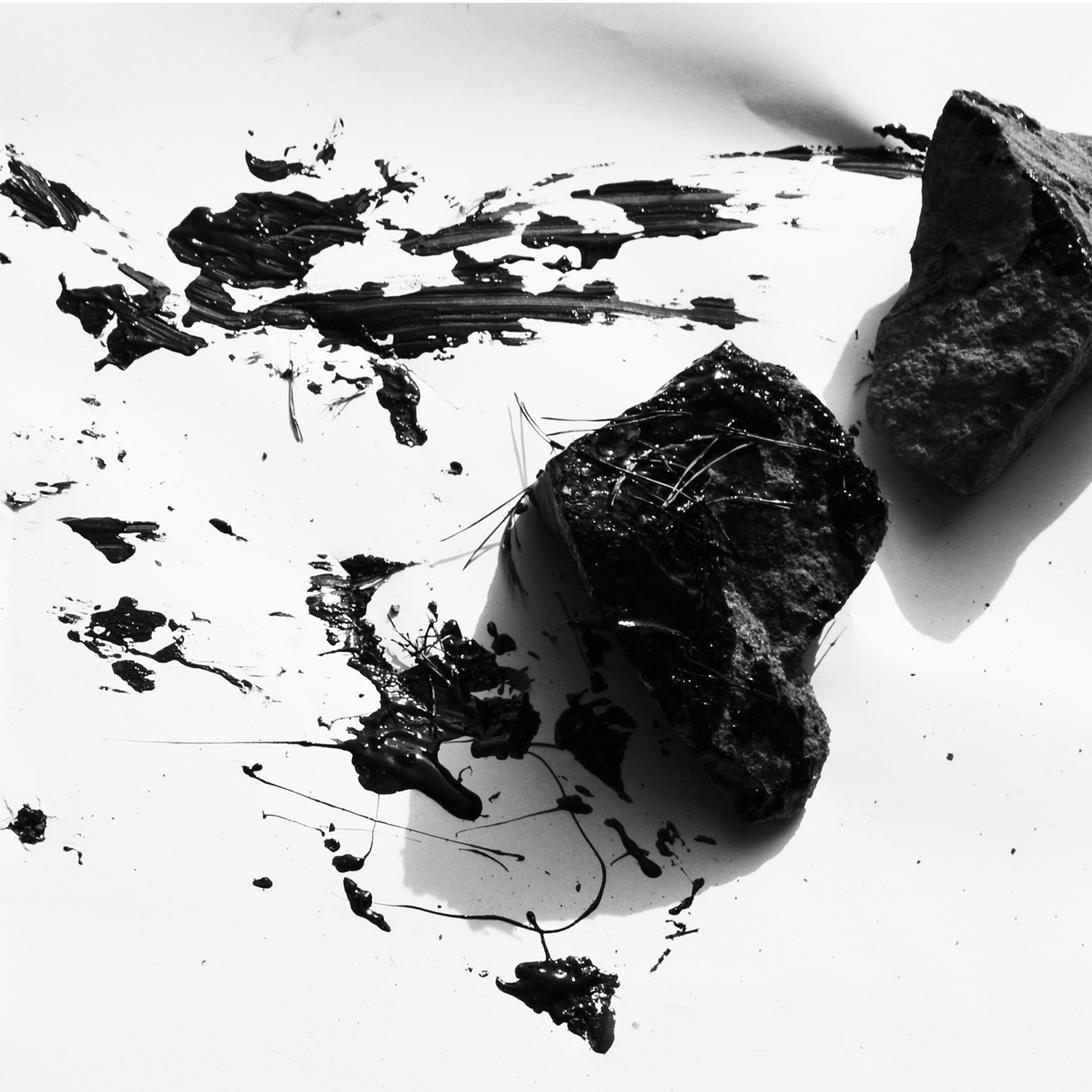 ПУТЬ РЕВОЛЮЦИИ (2017)