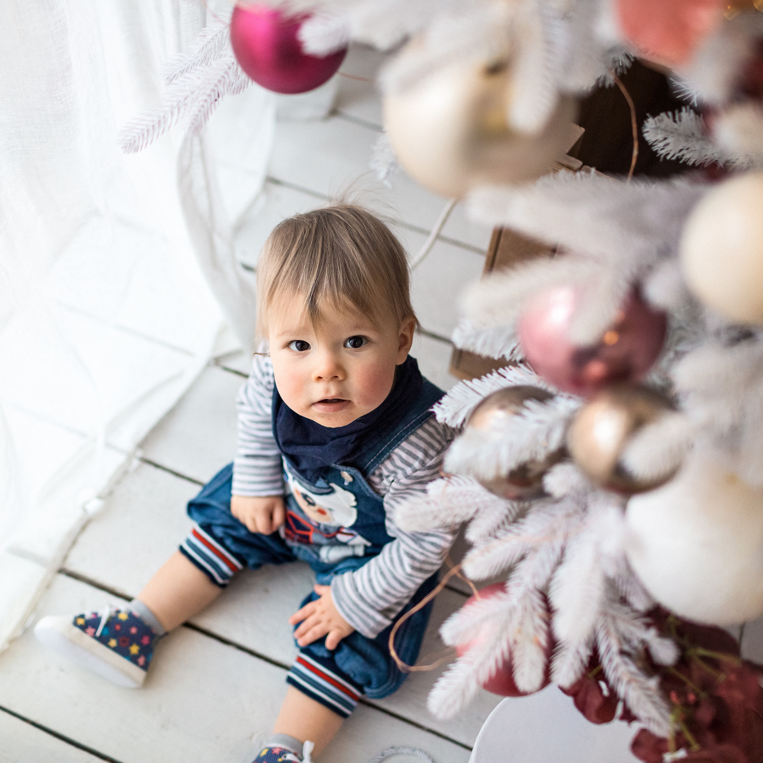 Новогодняя фотосессия в студии