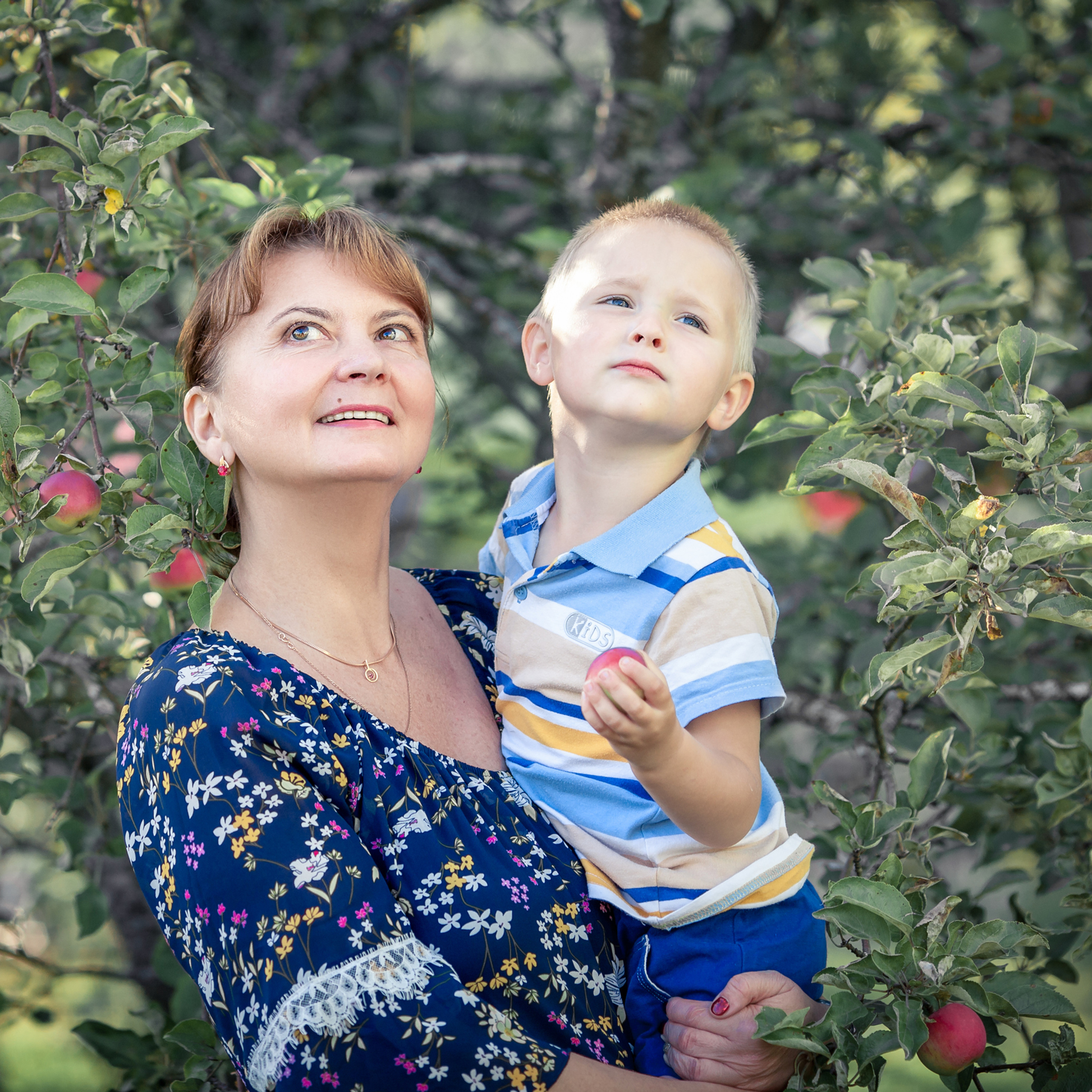 семейные традиции