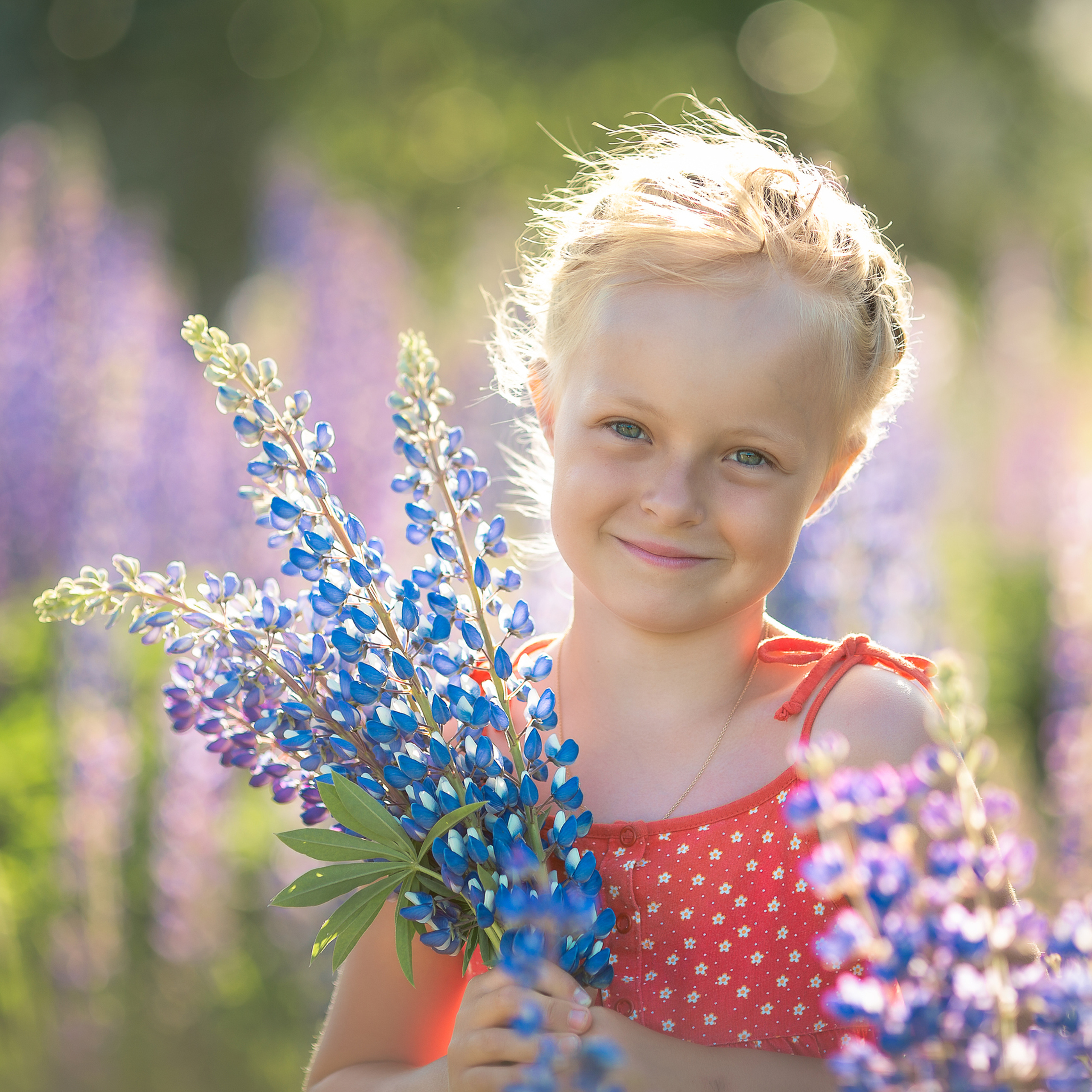 Люпиновое настроение