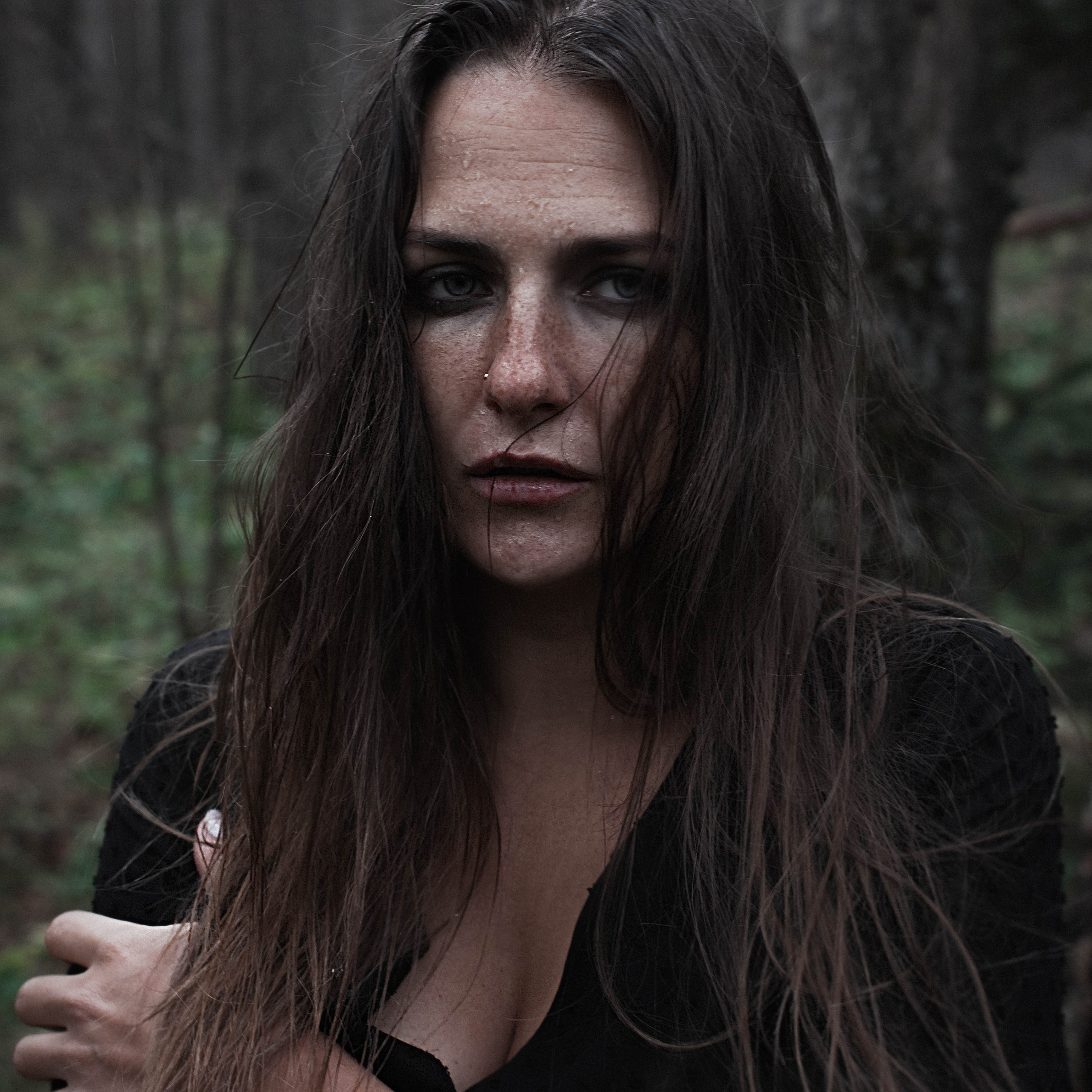 Лес Холод Октябрь