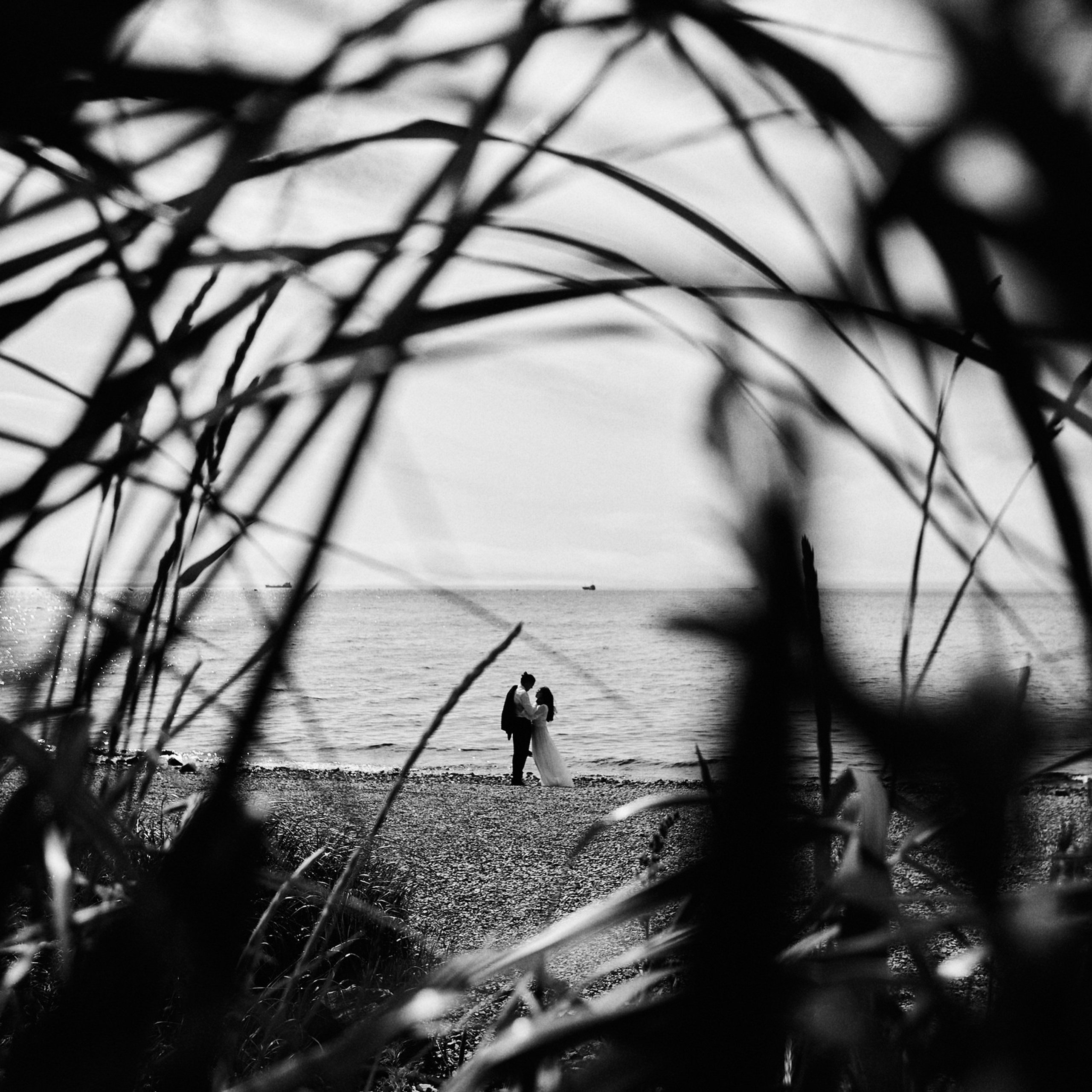 Отзывы о фотографе Камчатка Петропавловск-Камчатский Панов Ян. Свадебный фотограф на Камчатке Ян Панов