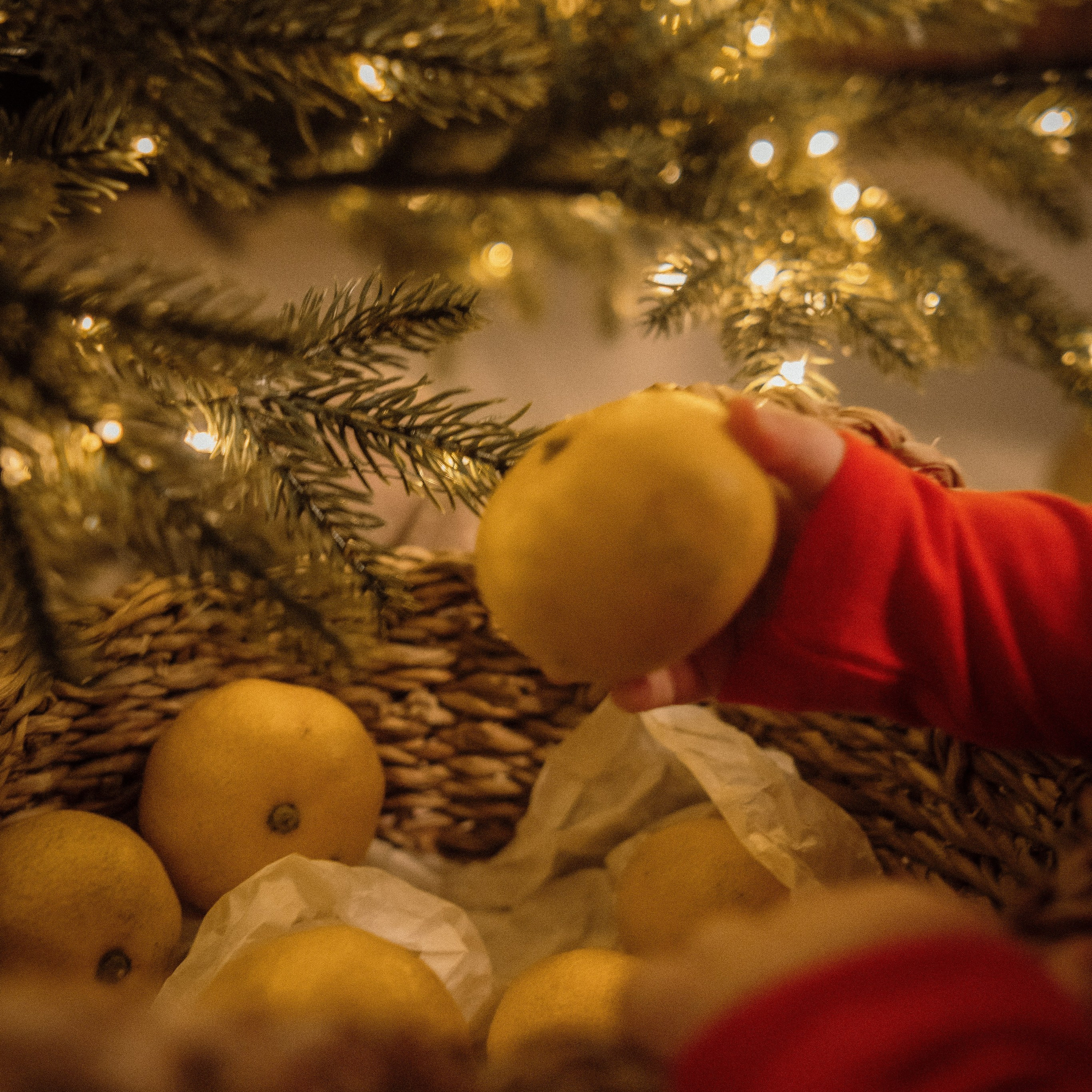 Отзывы. Семейный и Свадебный фотограф Глеб Герасименко
