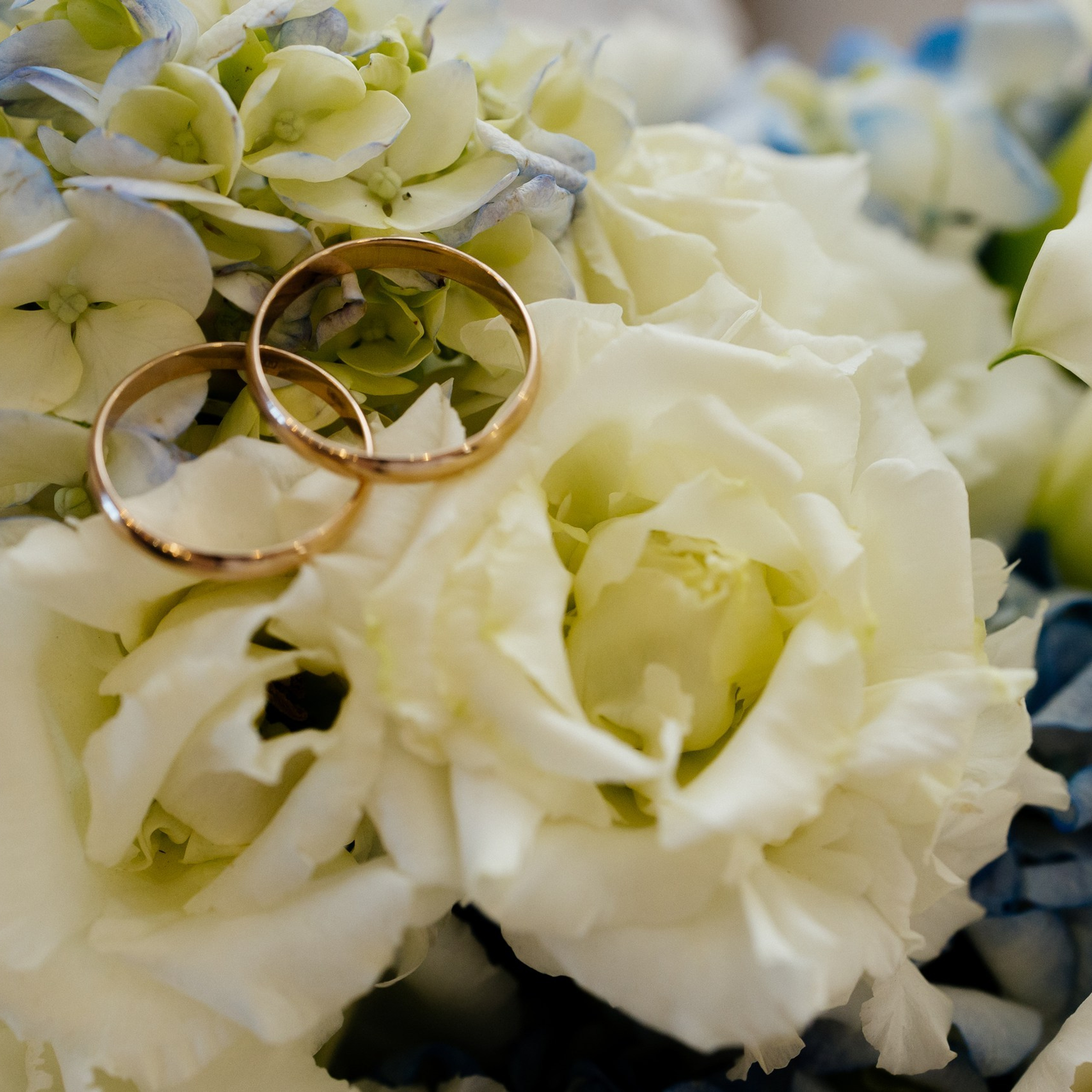 Отзывы. Анисина Анна — свадебный и семейный фотограф в городе Иваново