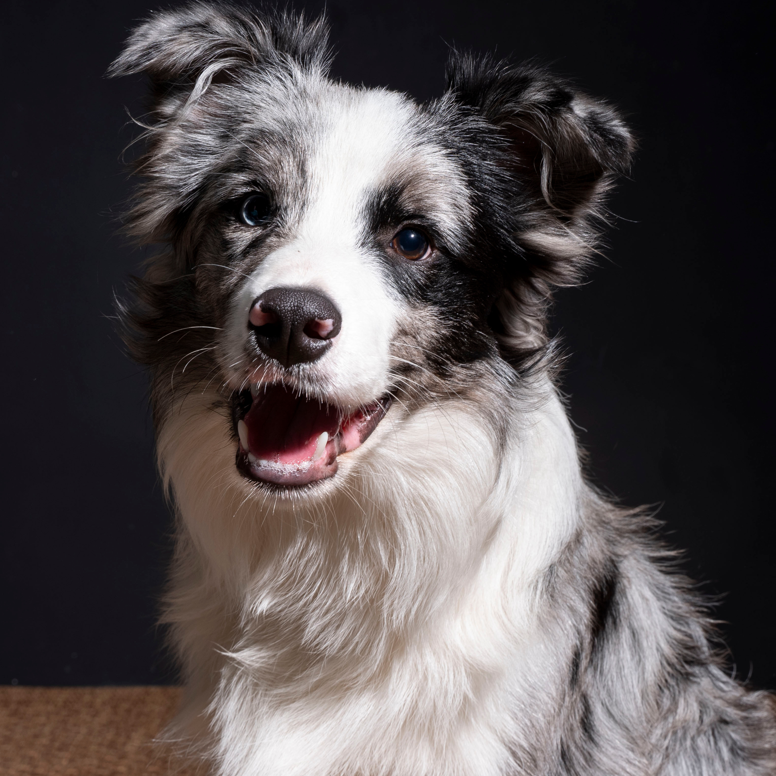 Отзывы. Фотограф Ксанка Скорнякова