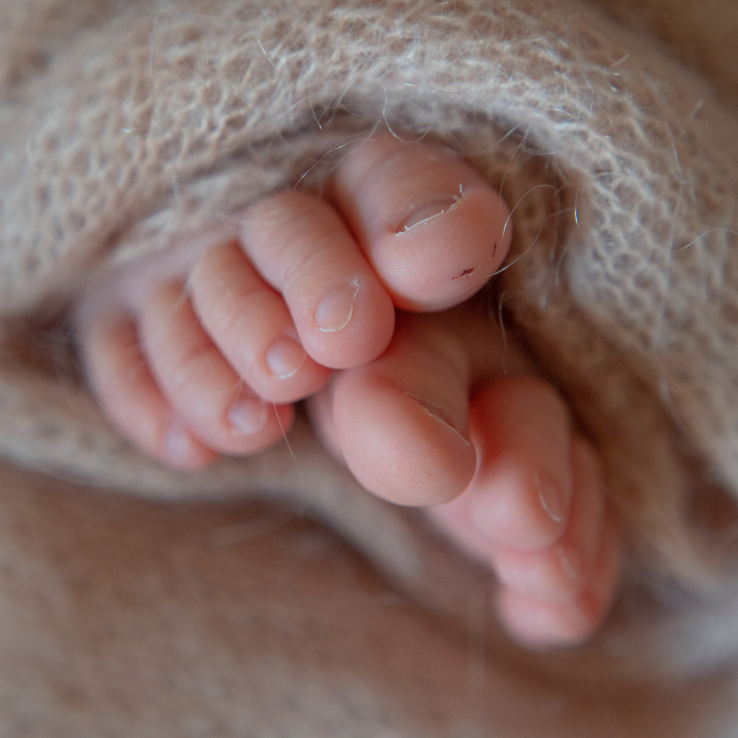 Отзывы. Фотограф СЕМЬИ и ДЕТСТВА в Краснодаре и Краснодарском крае Екатерина Москат