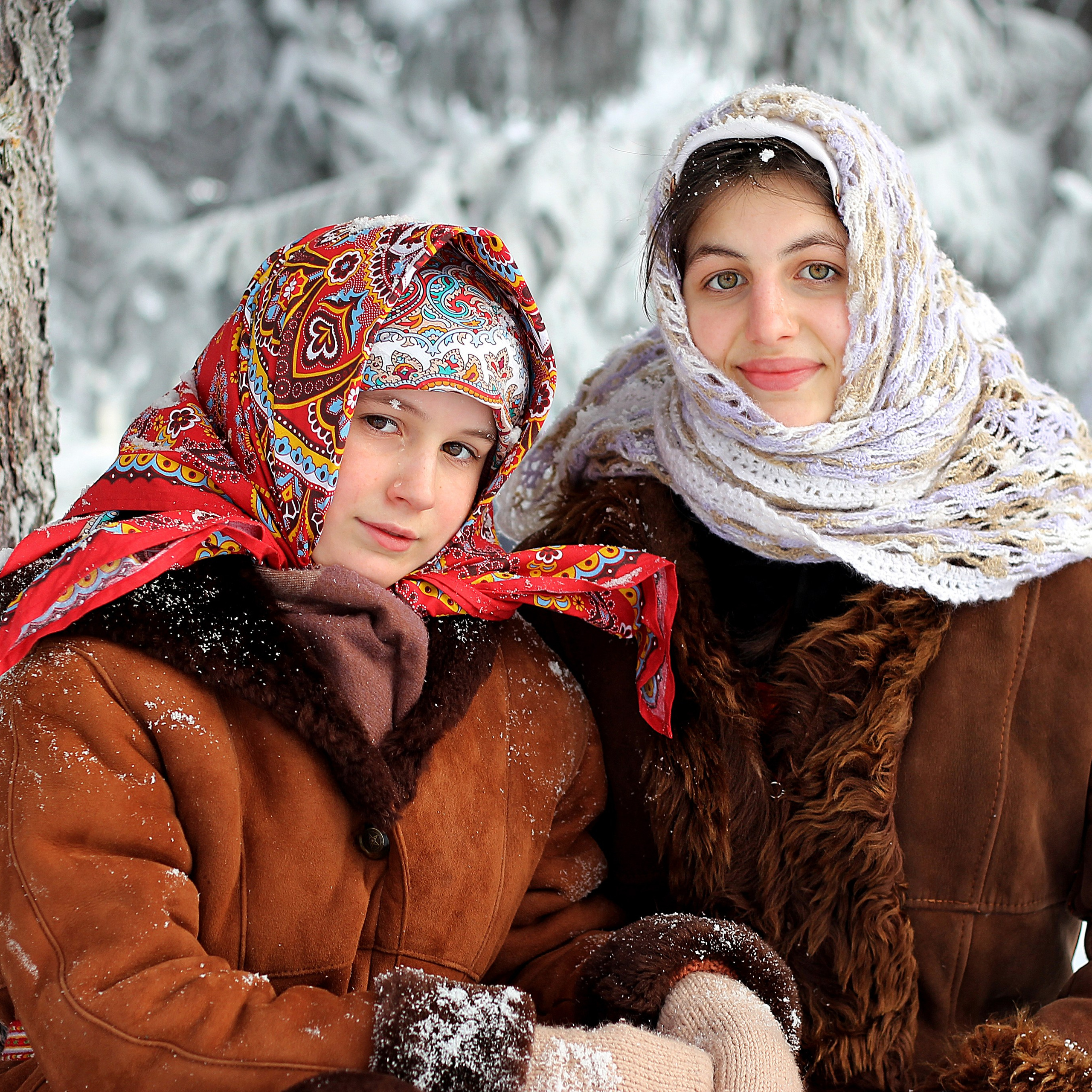 Портреты под ёлкой