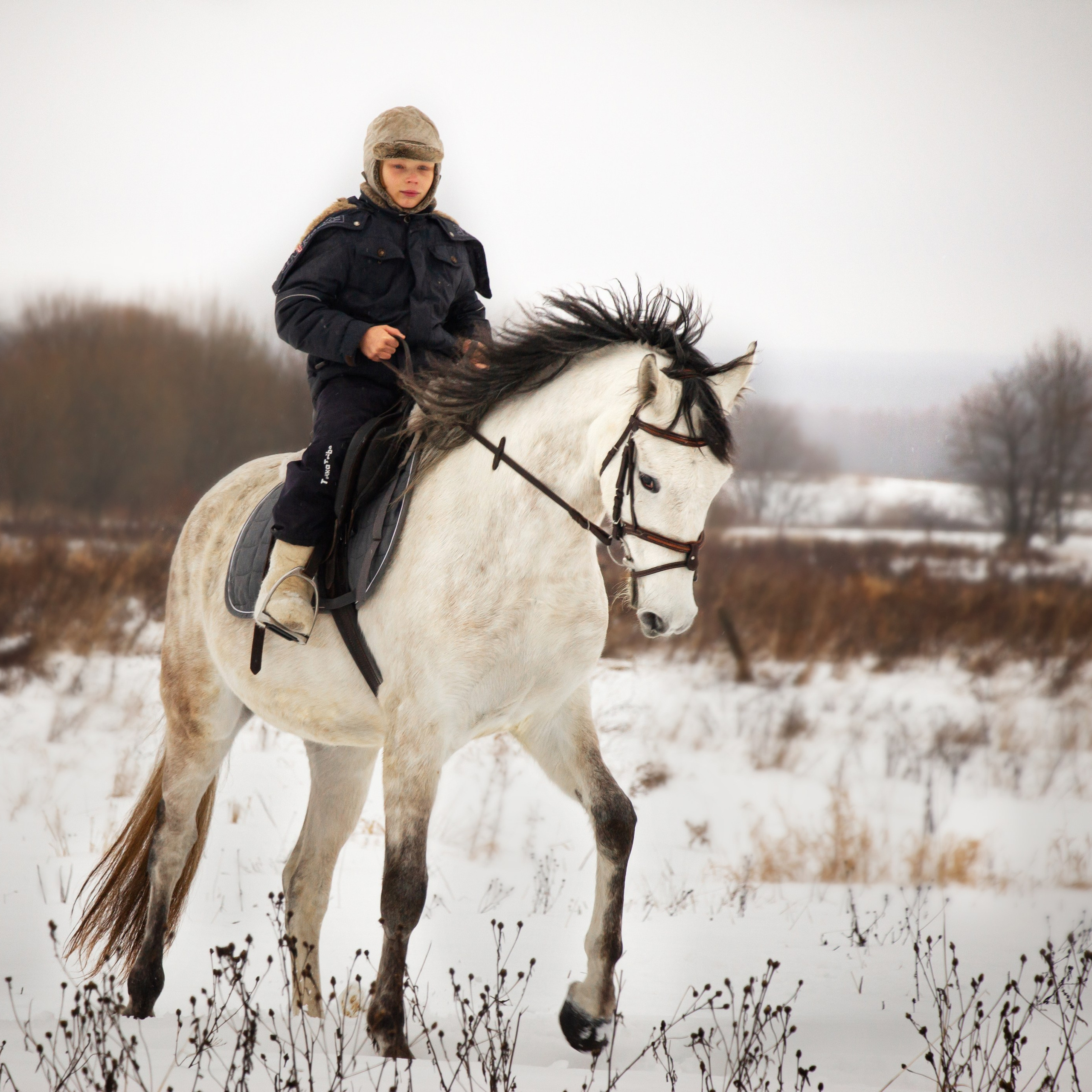 Зимой на белом коне