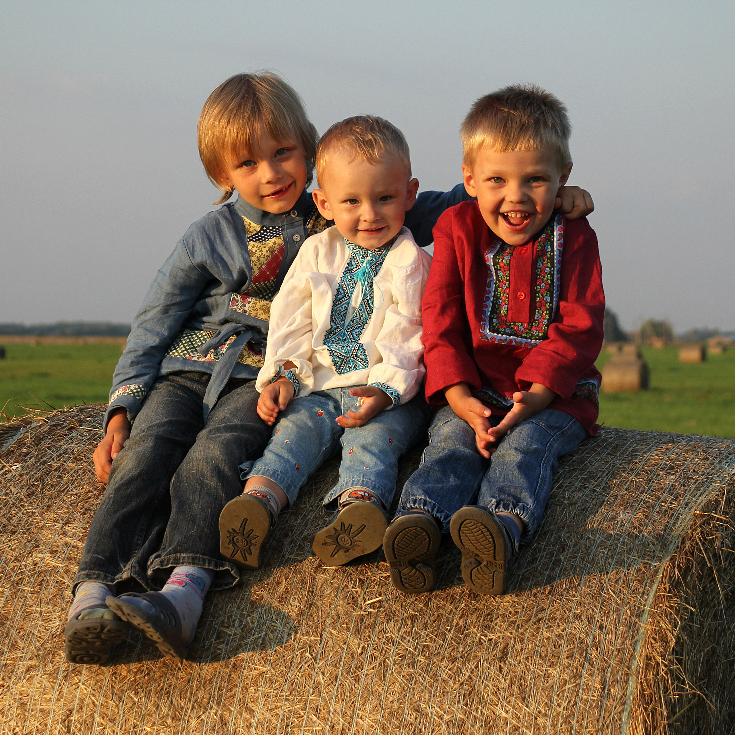 На стоге сена