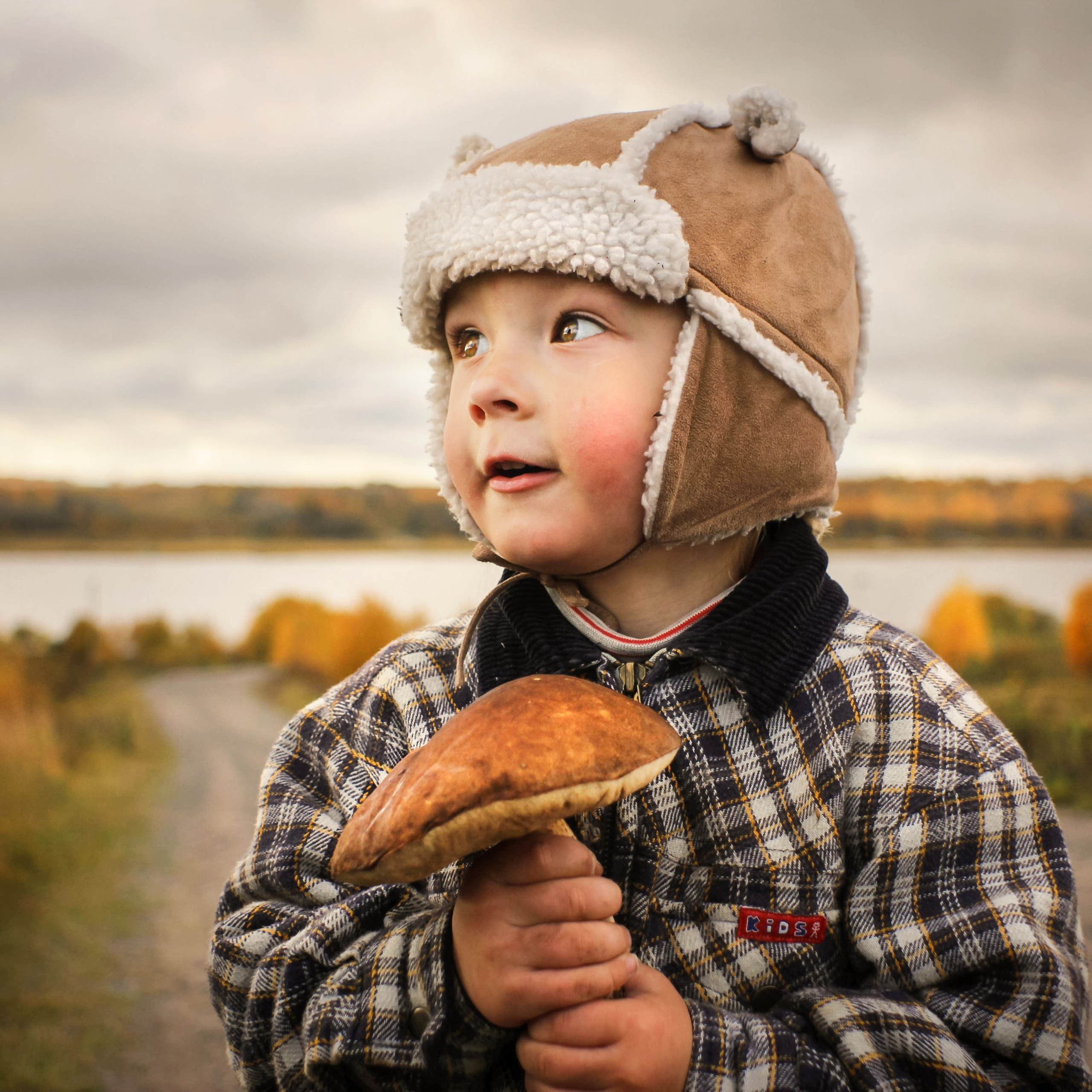 В осенних тонах